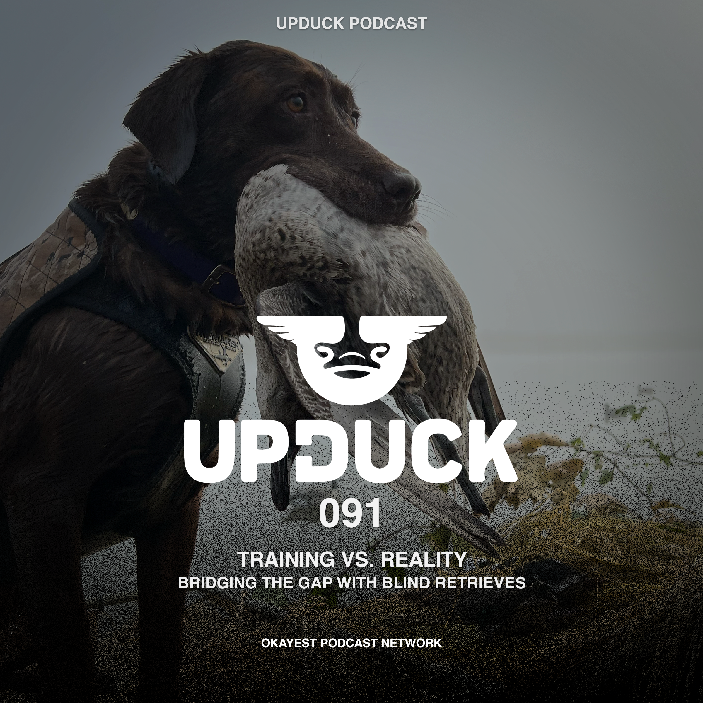 Training vs. Reality: Bridging the Gap with Blind Retrieves episode artwork