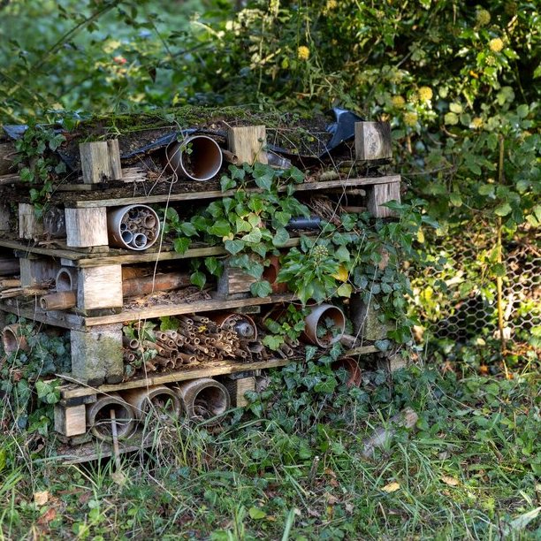 Get Gardening this Summer Holidays