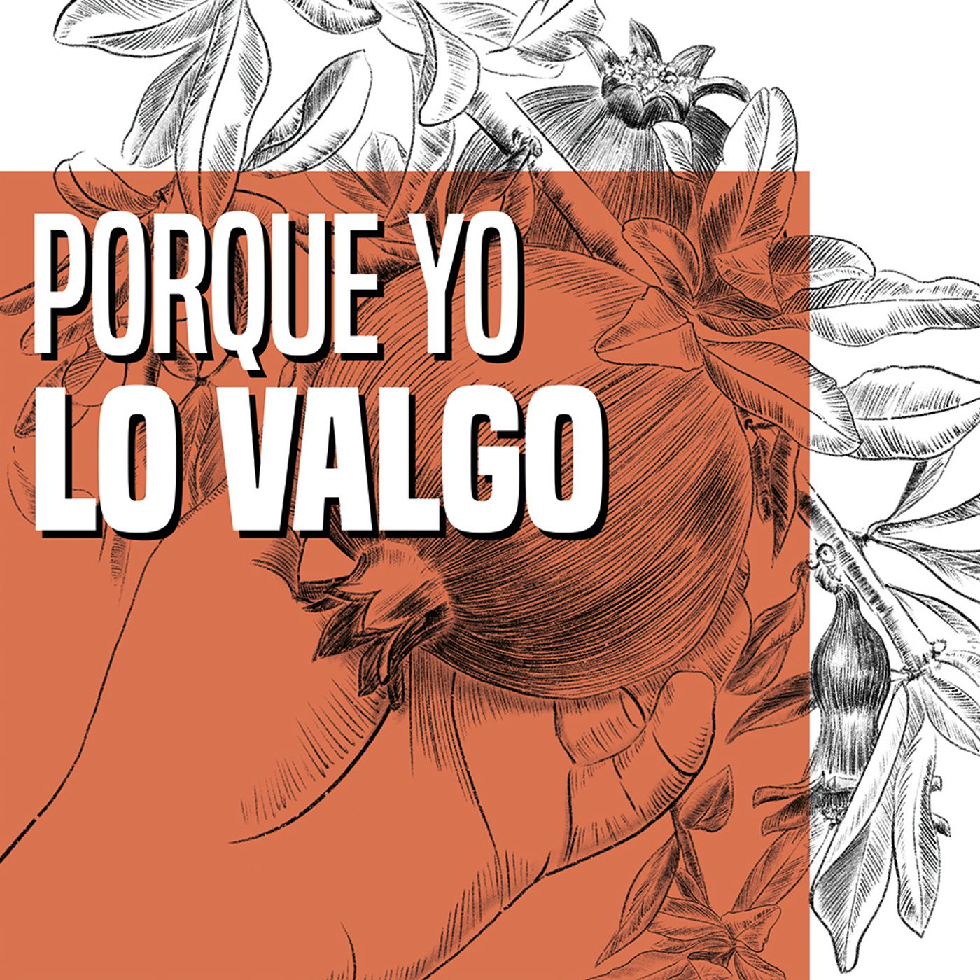 EL VALOR DE LA MONTAÑA: Cap 3. ¡Porque yo lo valgo!