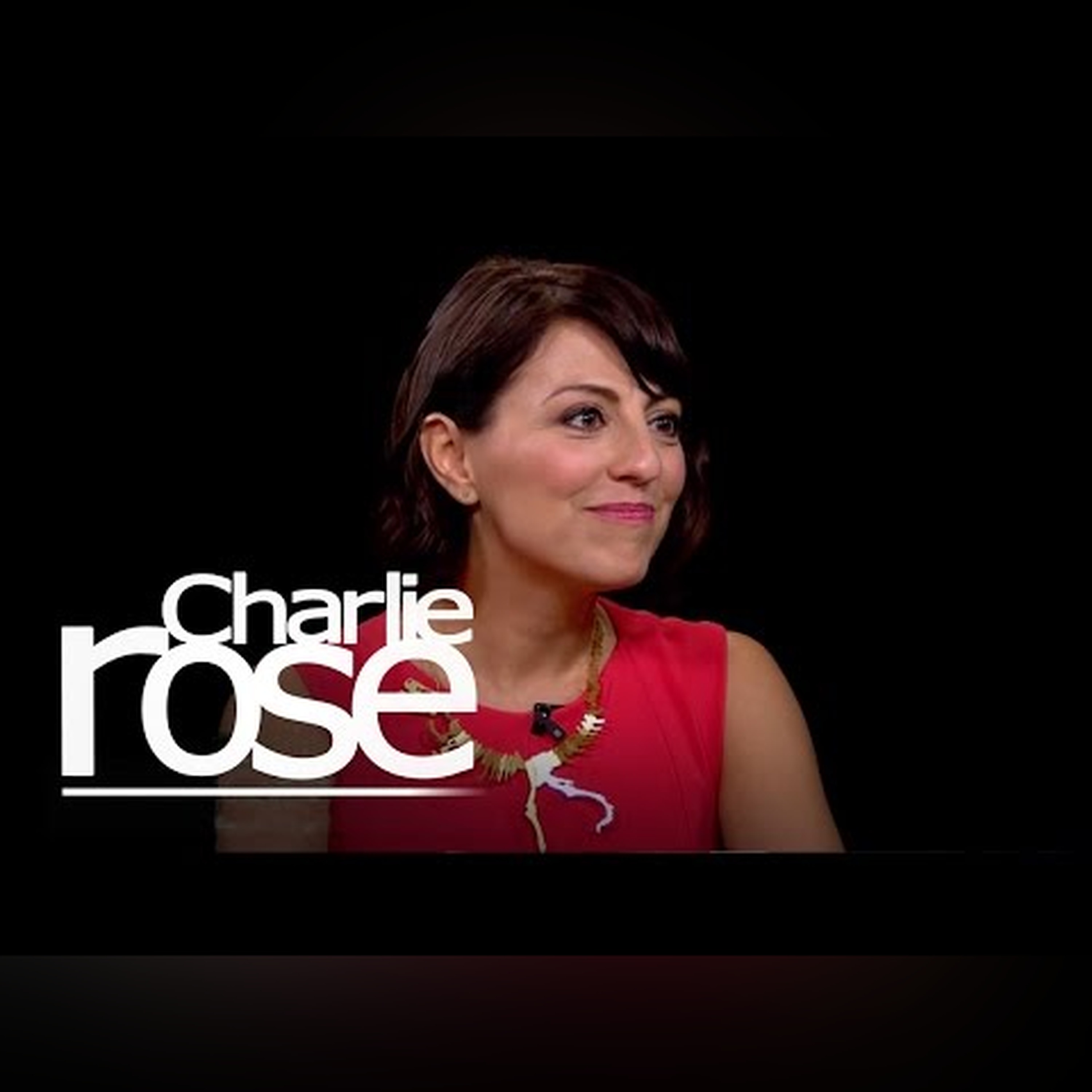 CEO: 40 Investors Turned Down My $100m Idea (Nov. 5, 2014) | Charlie Rose