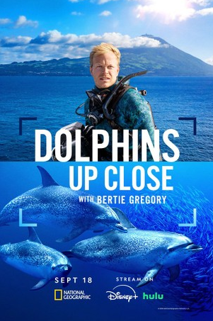 Dolphins Up Close: Behind the Scenes w/Filmmaker Bertie Gregory