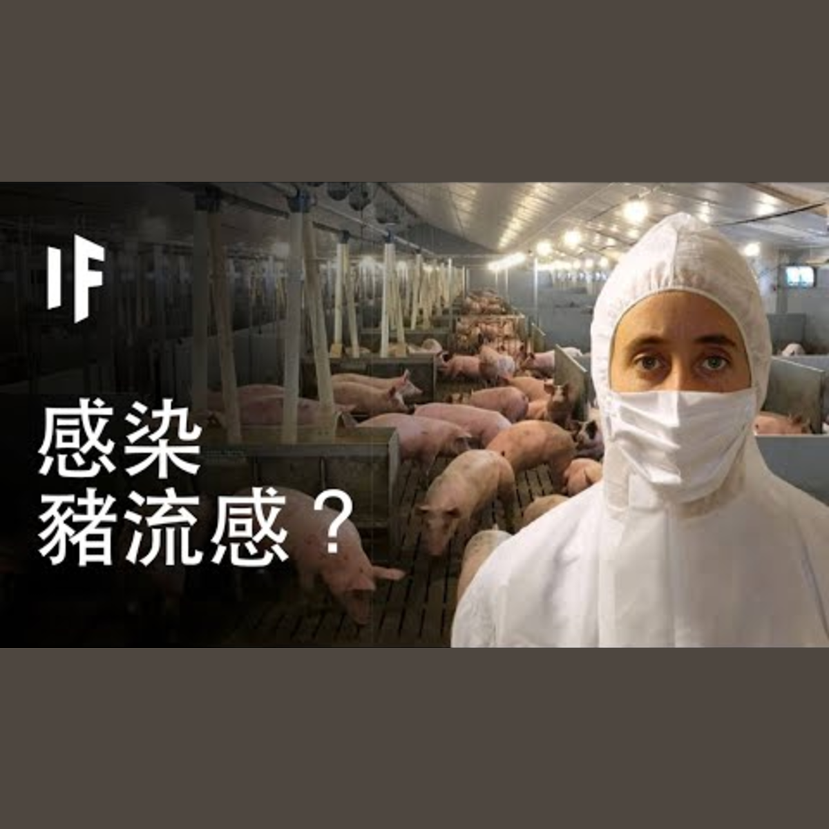 如果你得了豬流感？｜大膽科學 episode artwork