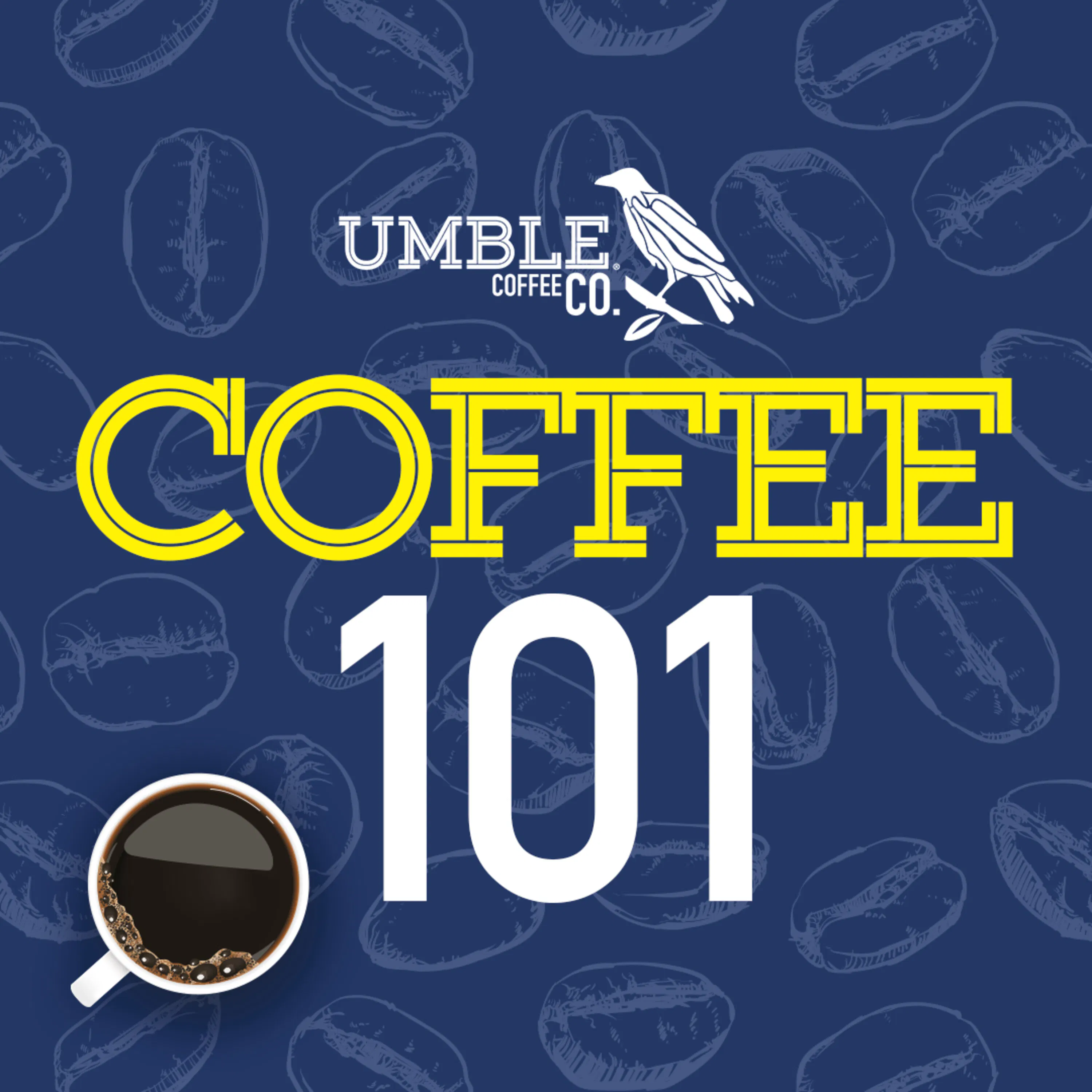 Tea Basics - Pu-er, Oolong, Black — Coffee 101 cover