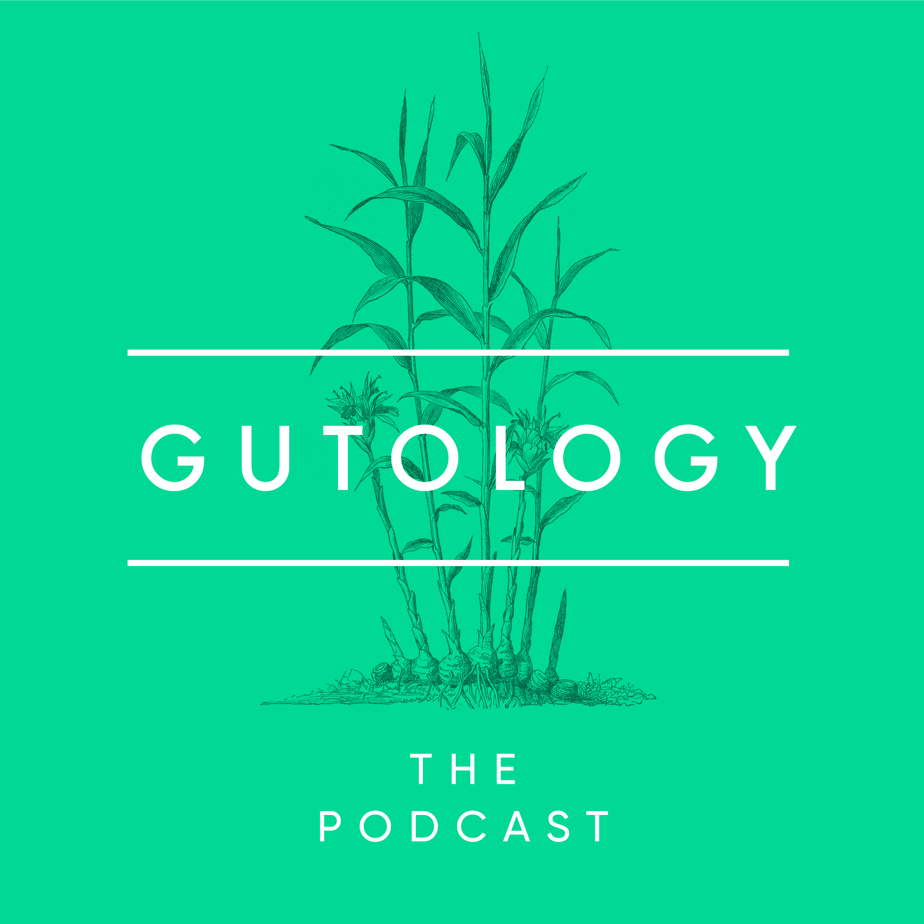 S1E1 | The Gut is the Root of All Health episode artwork