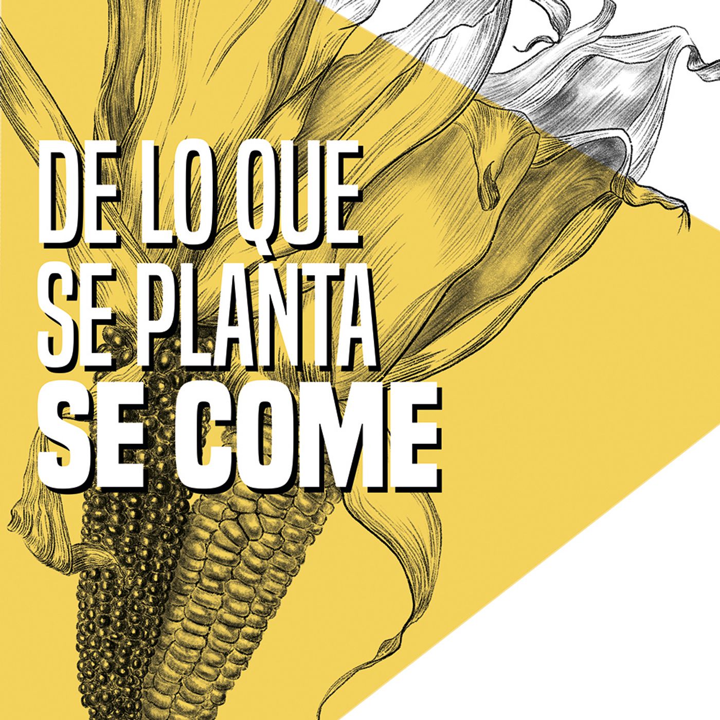 EL VALOR DE LA MONTAÑA: Cap 2. De lo que se planta, se come