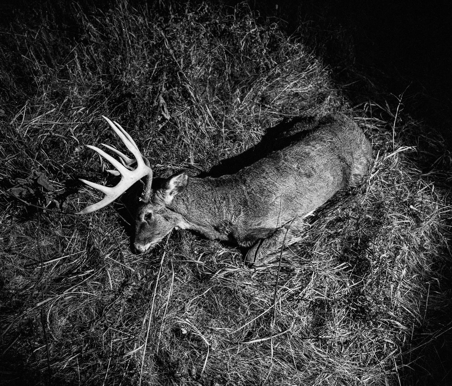 EP.452: Finding Gratitude In The Grind | Chasing Mature Bucks | Jacob Sklenar