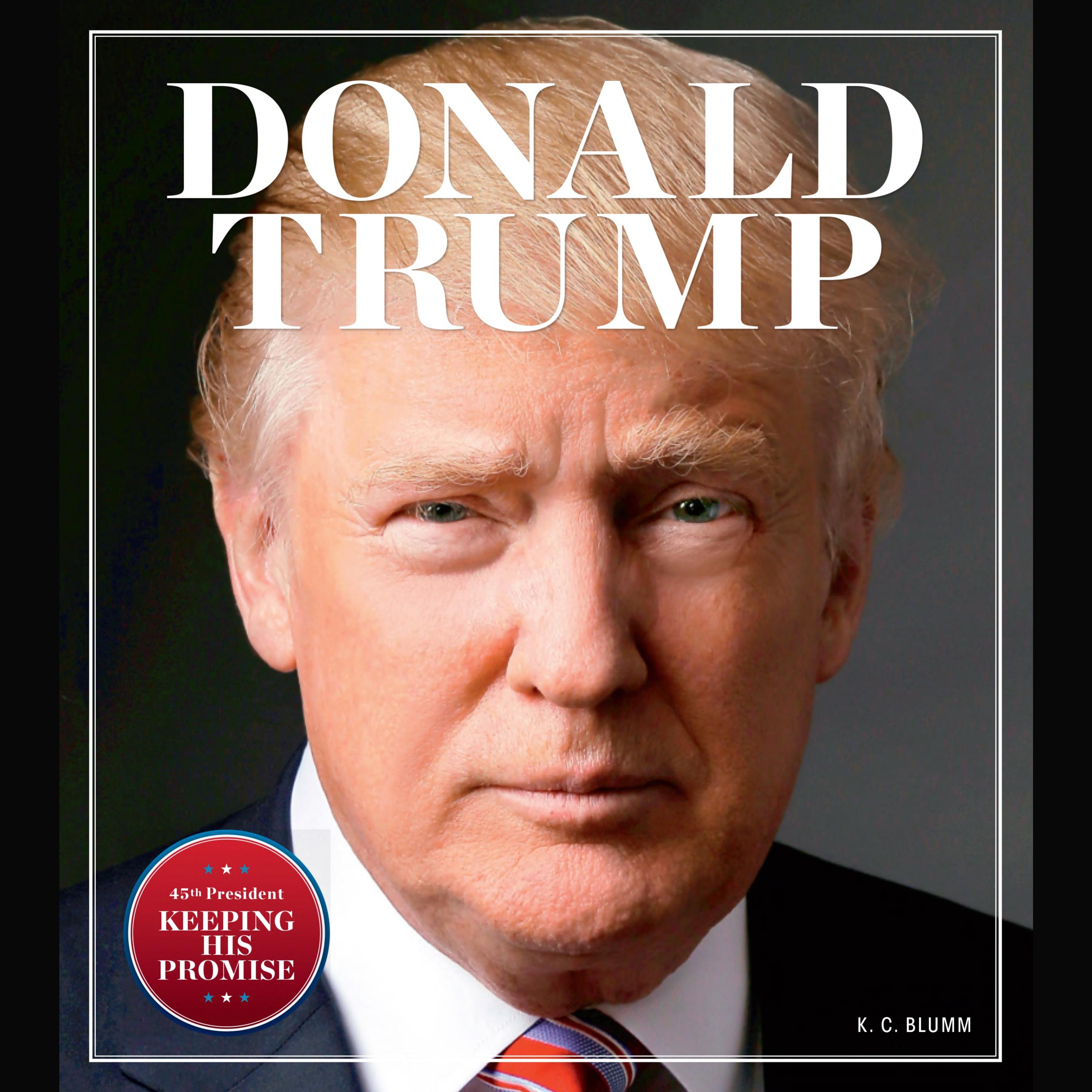 Donald Trump Summary | K.C. Blumm