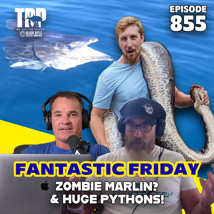 Fantastic Friday! Zombie Marlin and Monster Pythons!