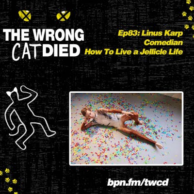 Ep83 - Linus Karp, Comedian, How To Live A Jellicle Life, Life Lessons From the 2019 Hit Movie CATS