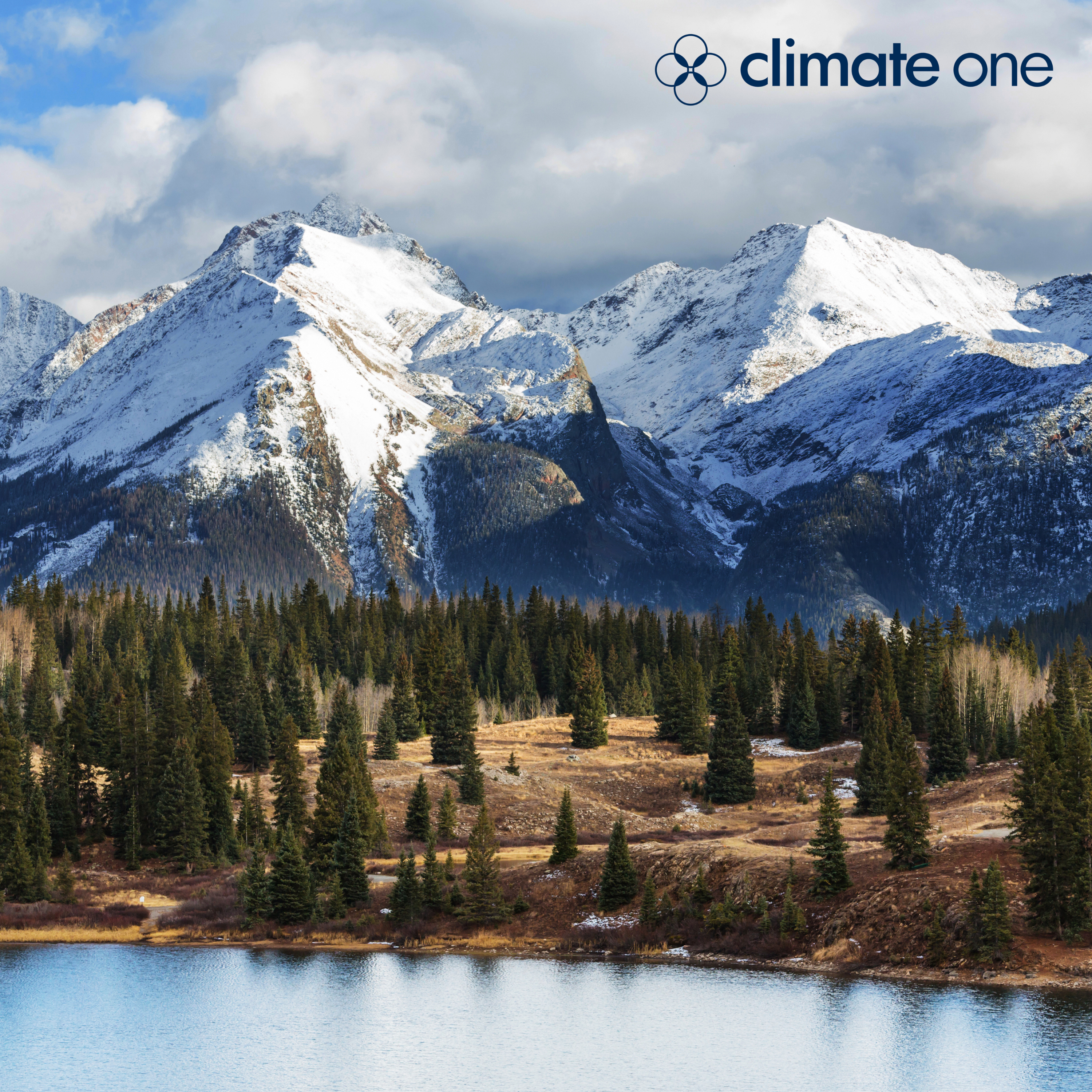 Beyond the Rights of Nature: Land that Owns Itself