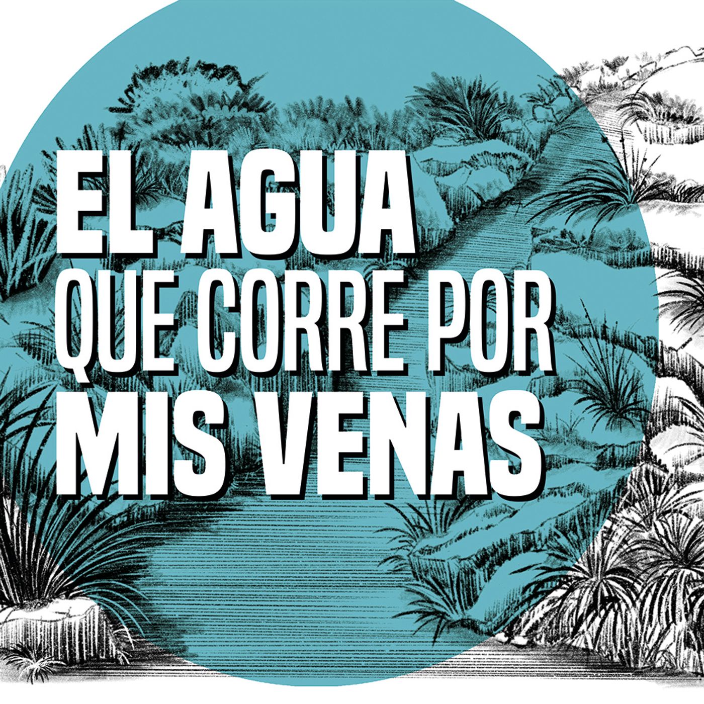 EL VALOR DE LA MONTAÑA: Cap 1. El agua que corre por mis venas