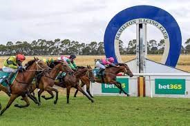 Hamilton RC Peta Anderson chats to Andrew Kuuse thumbnail