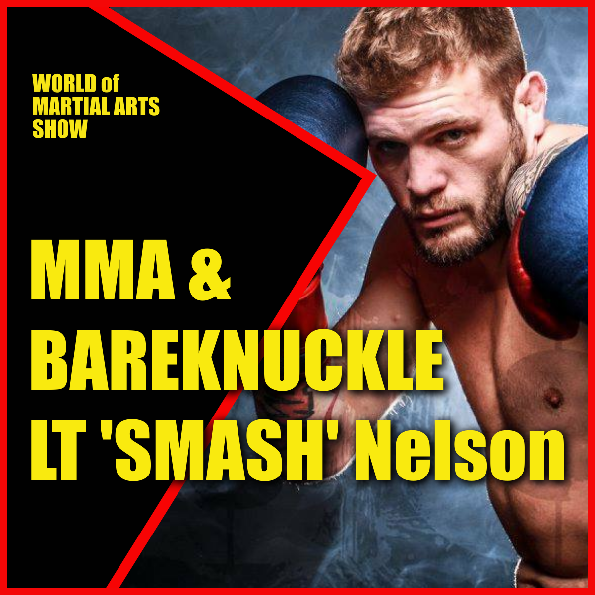 World of Martial Arts Show