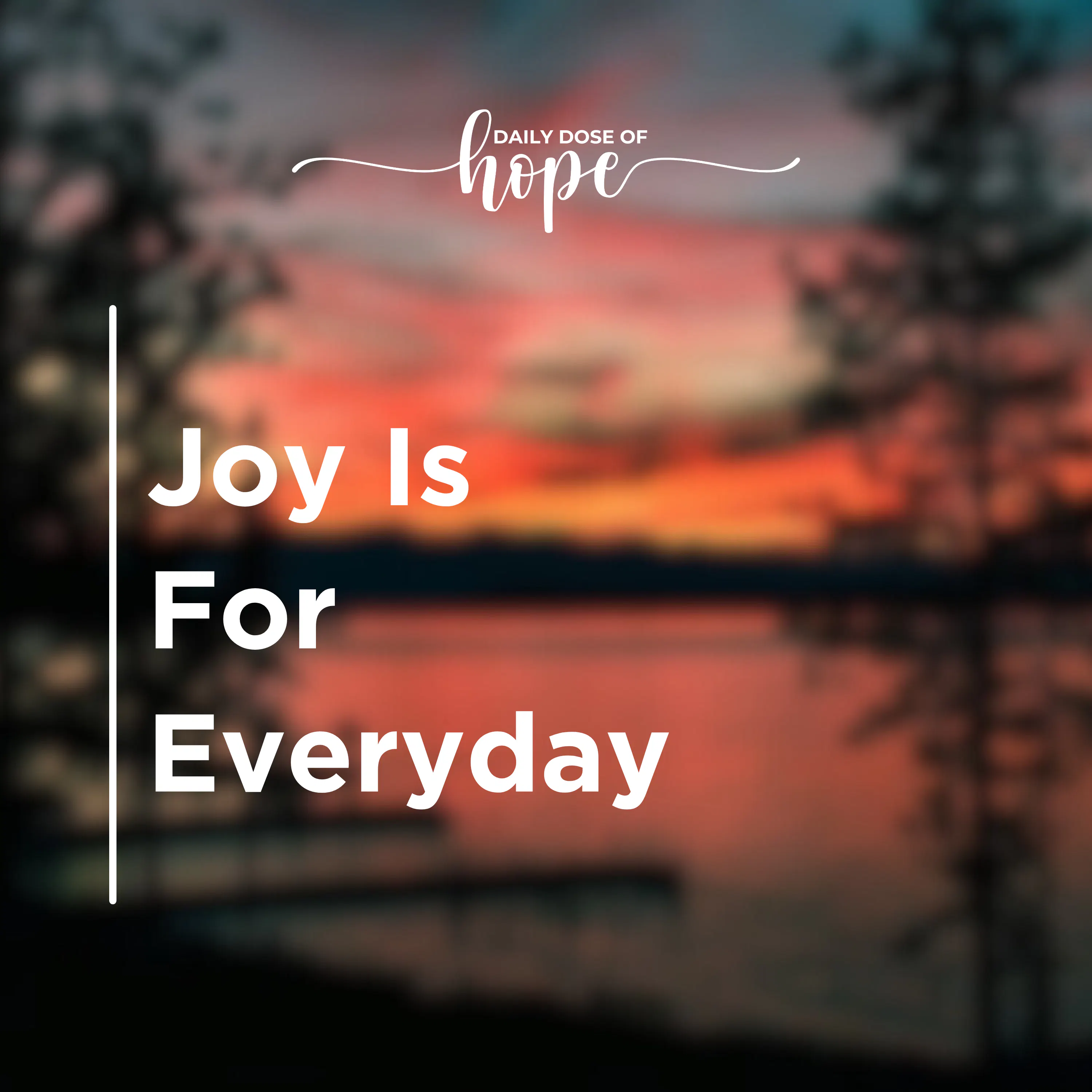 Joy Is For Everyday EP 338 episode artwork