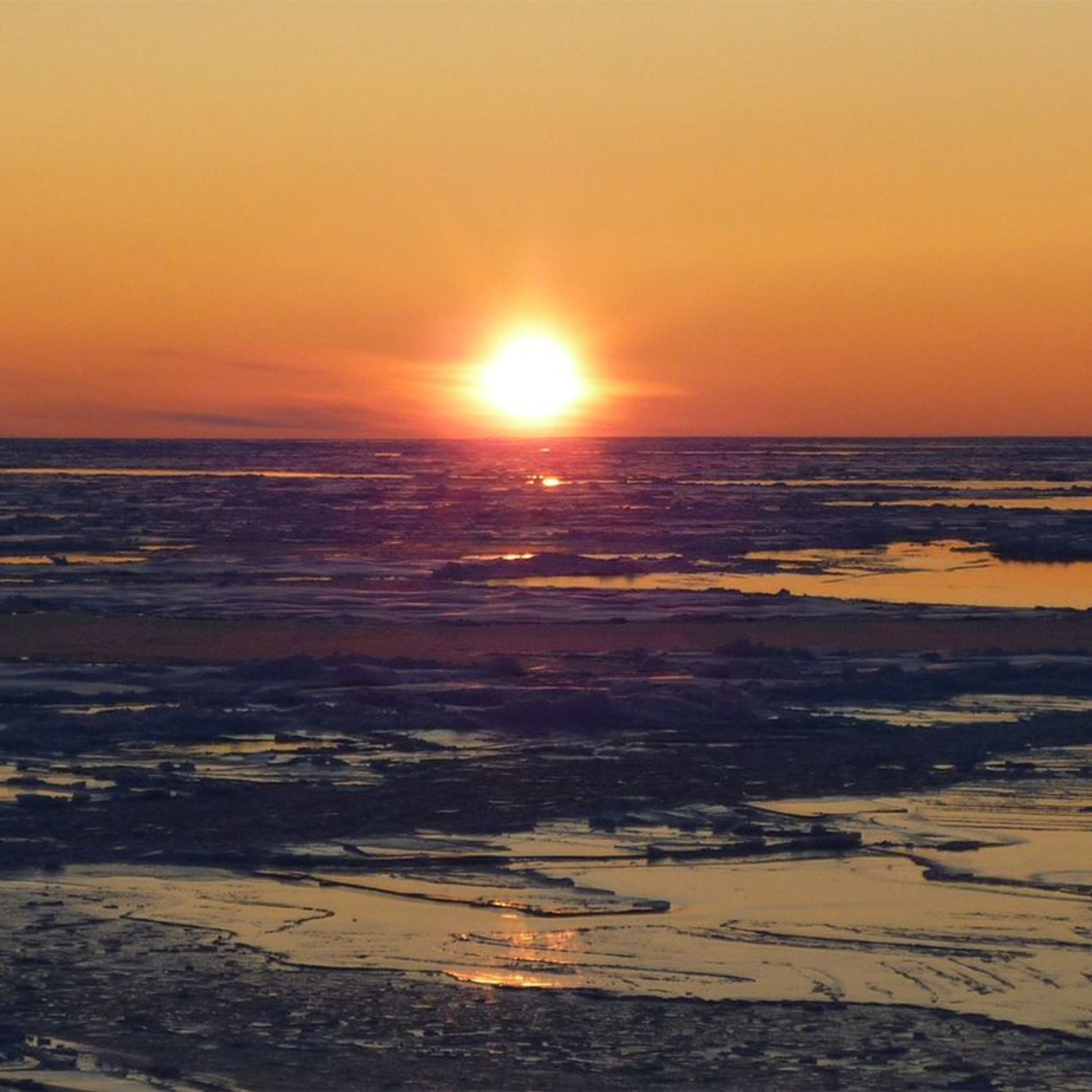 The dangers of dismantling a geoengineered sun shield and the importance of genes we don’t inherit