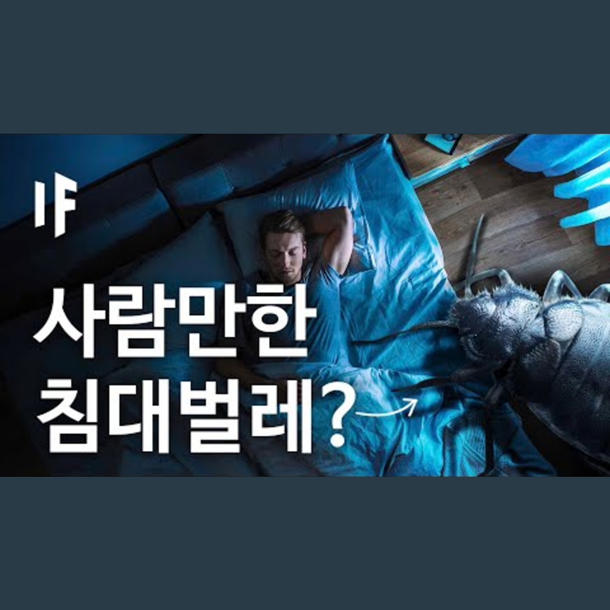 만약에 침대벌레가 사람 크기라면? [한국어 더빙] | 만약에 What If Korea