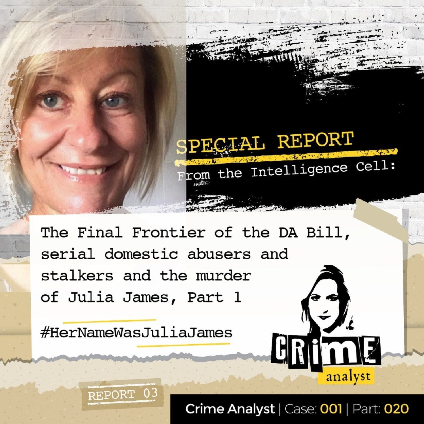 Special Report from the Intelligence Cell | The Final Frontier of the Domestic Abuse Bill, Serial Domestic Abusers and Stalkers and Julia James’ Murder, Part. 1