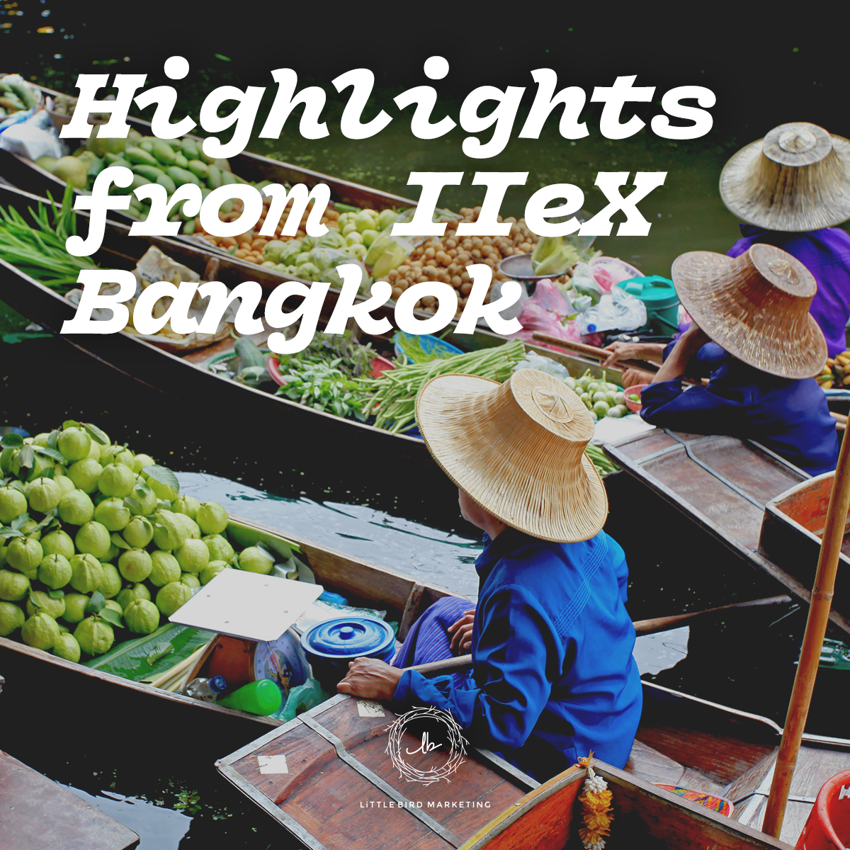 Ponderings from the Perch