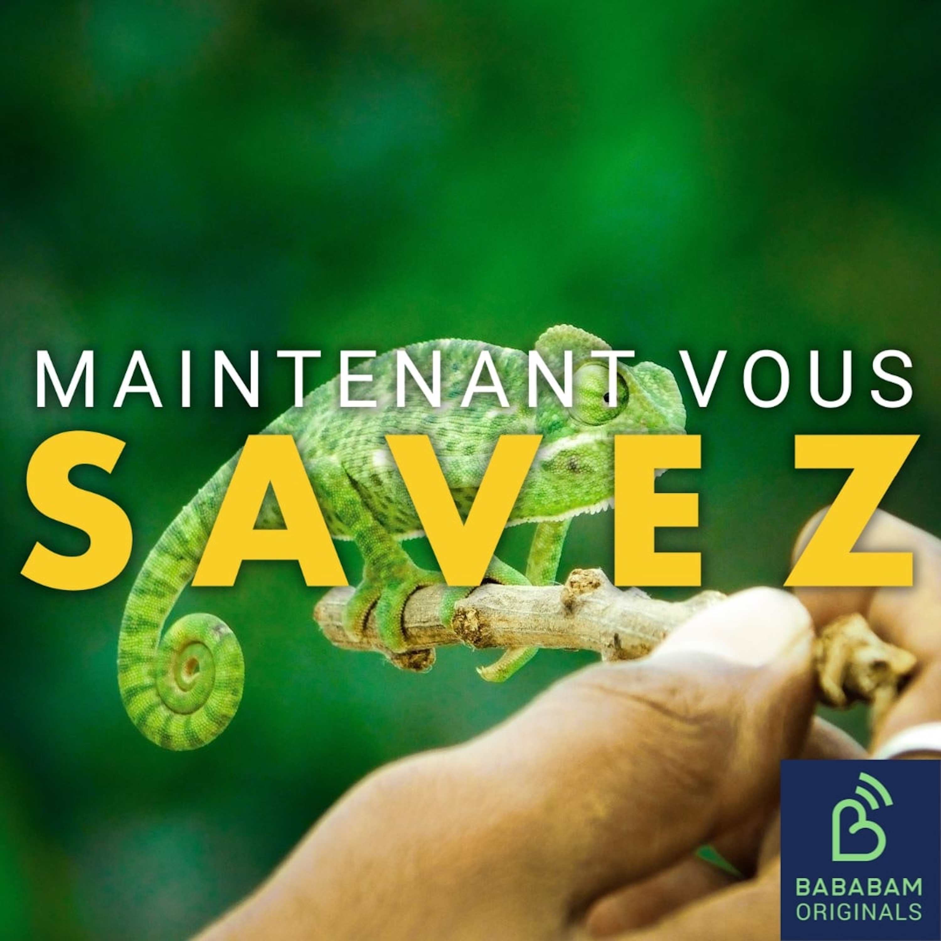 Qu’est-ce que l’effet caméléon ?