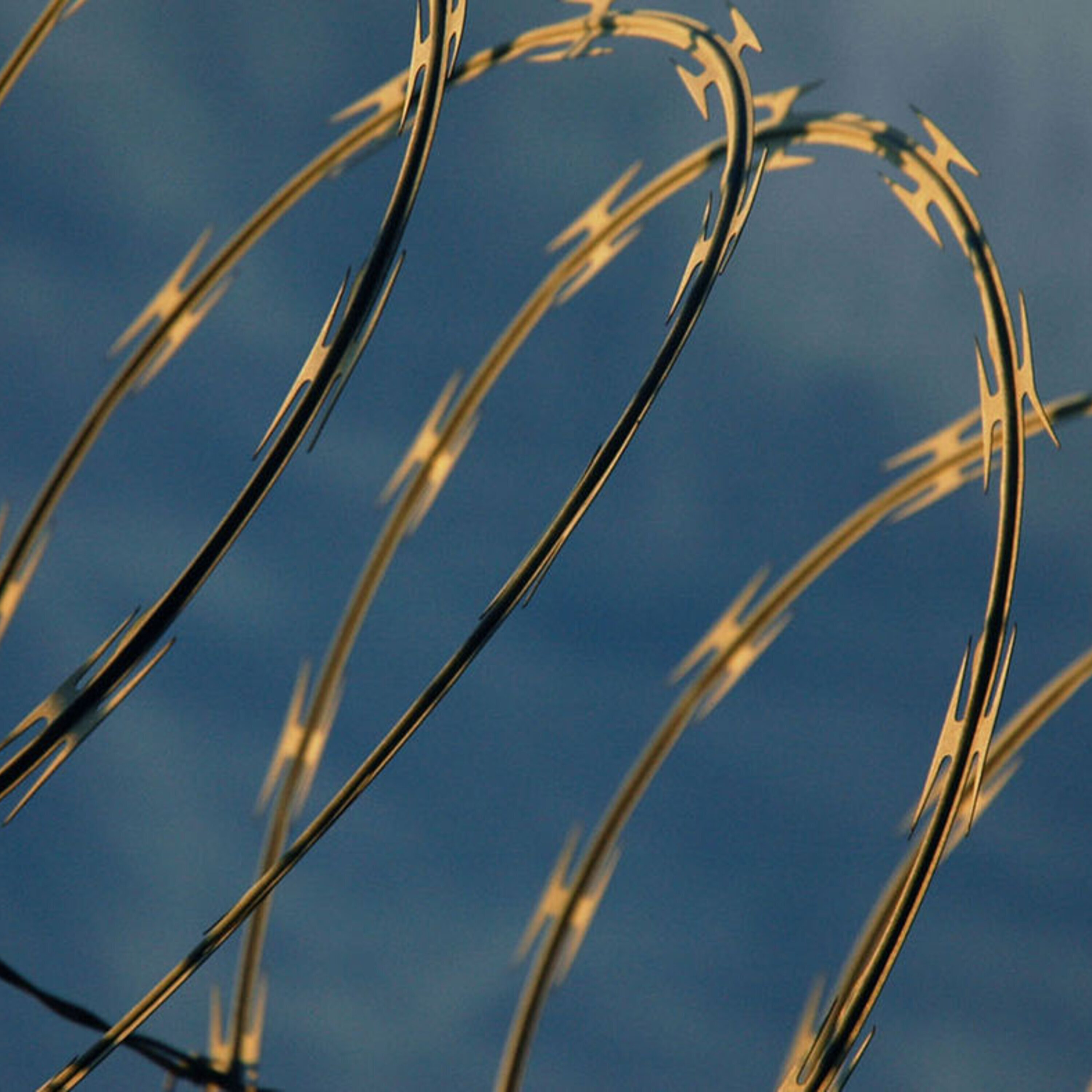 Unearthed letters reveal changes in Fields Medal awards, and predicting crime with computers is no easy feat