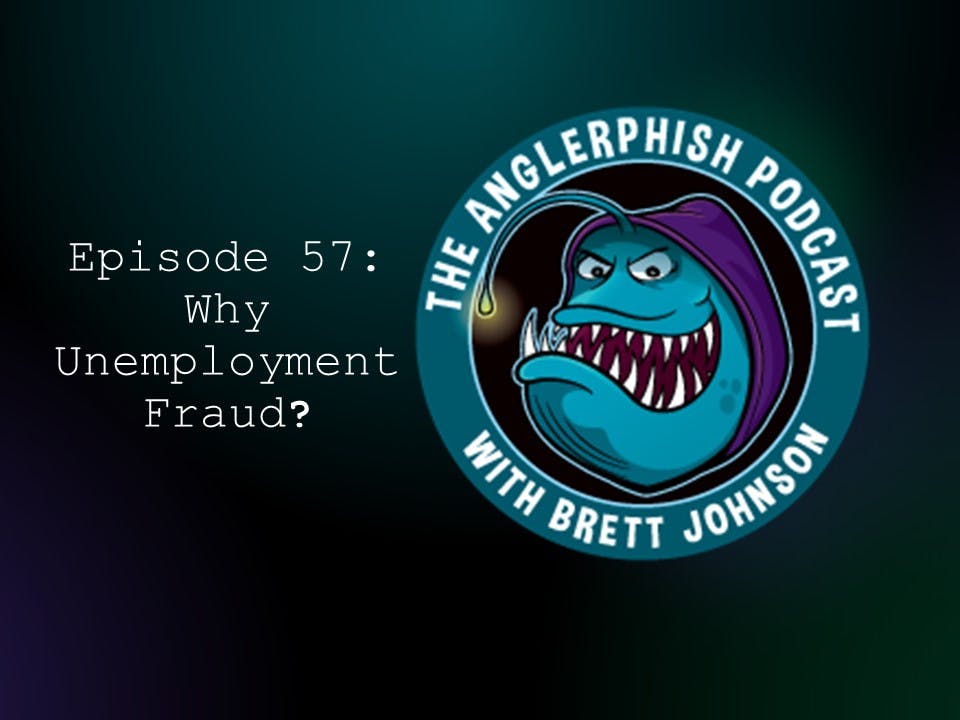 #57 Why Unemployment Fraud?
