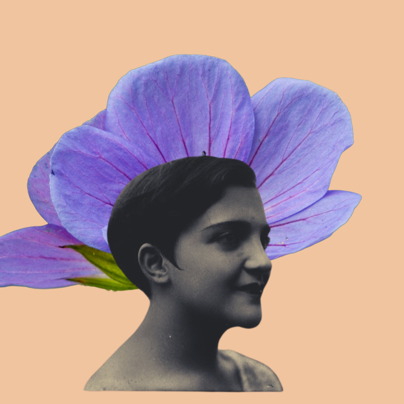 Episodio 5. Cabellogate o las pelonas