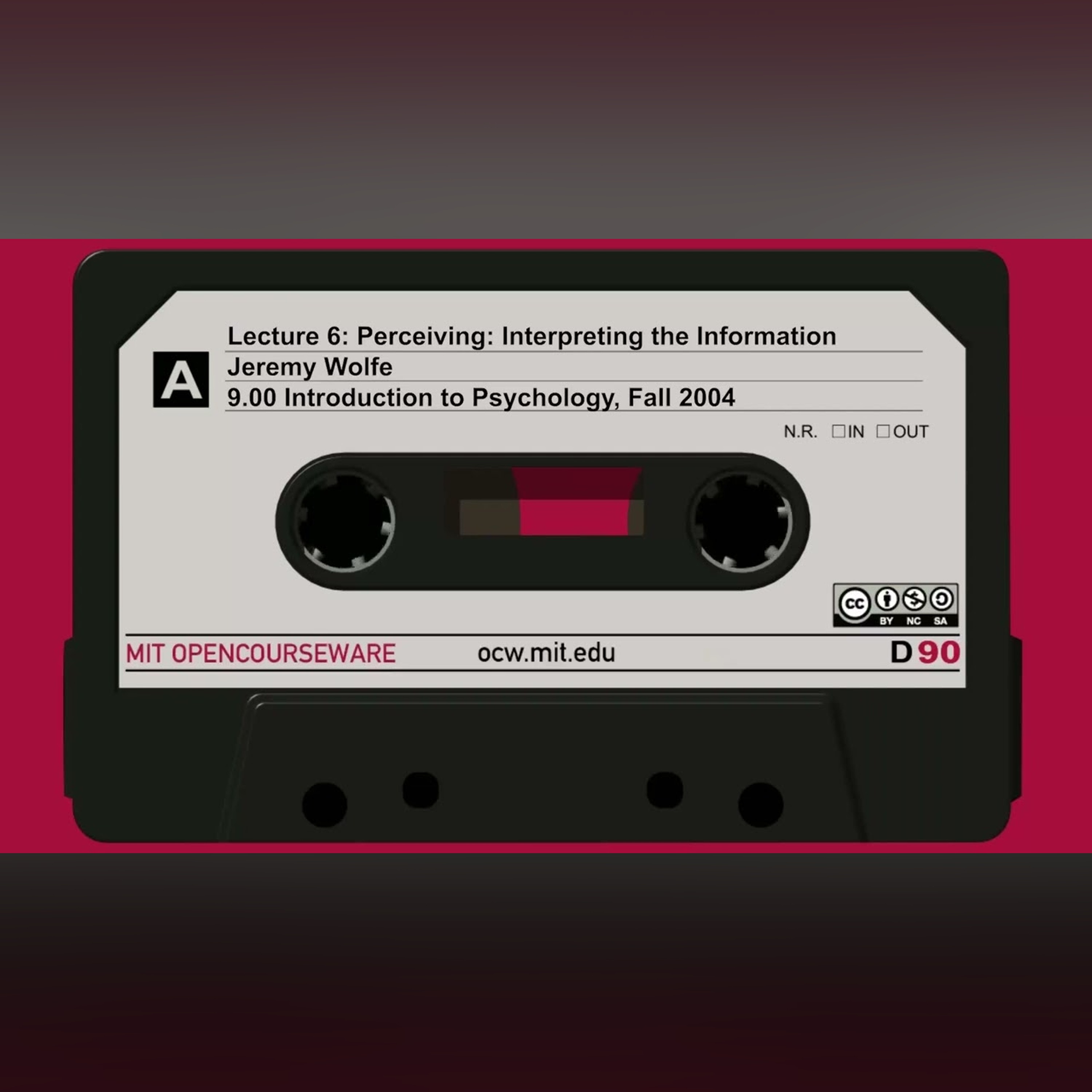 6. Perceiving: Interpreting the Information (audio only)