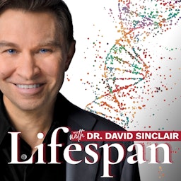 Podcast Image