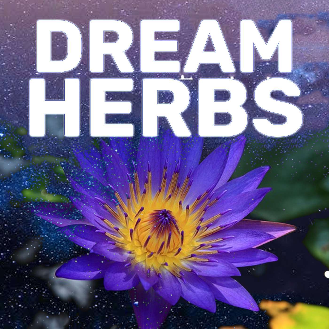 Oneirogens That Enhance Dreaming episode artwork