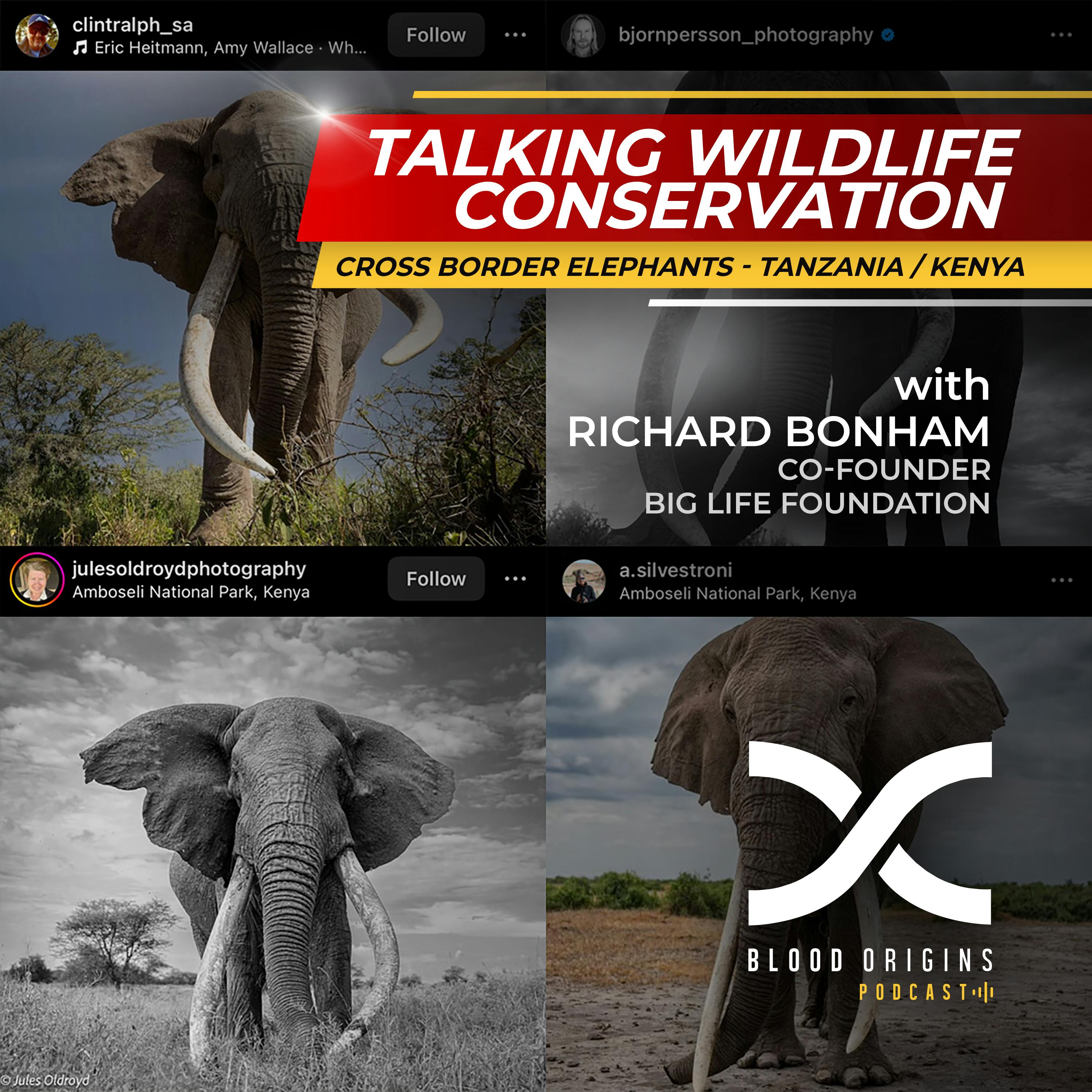 Episode 475 - Richard Bonham || A Voice from the Other Side of the Border