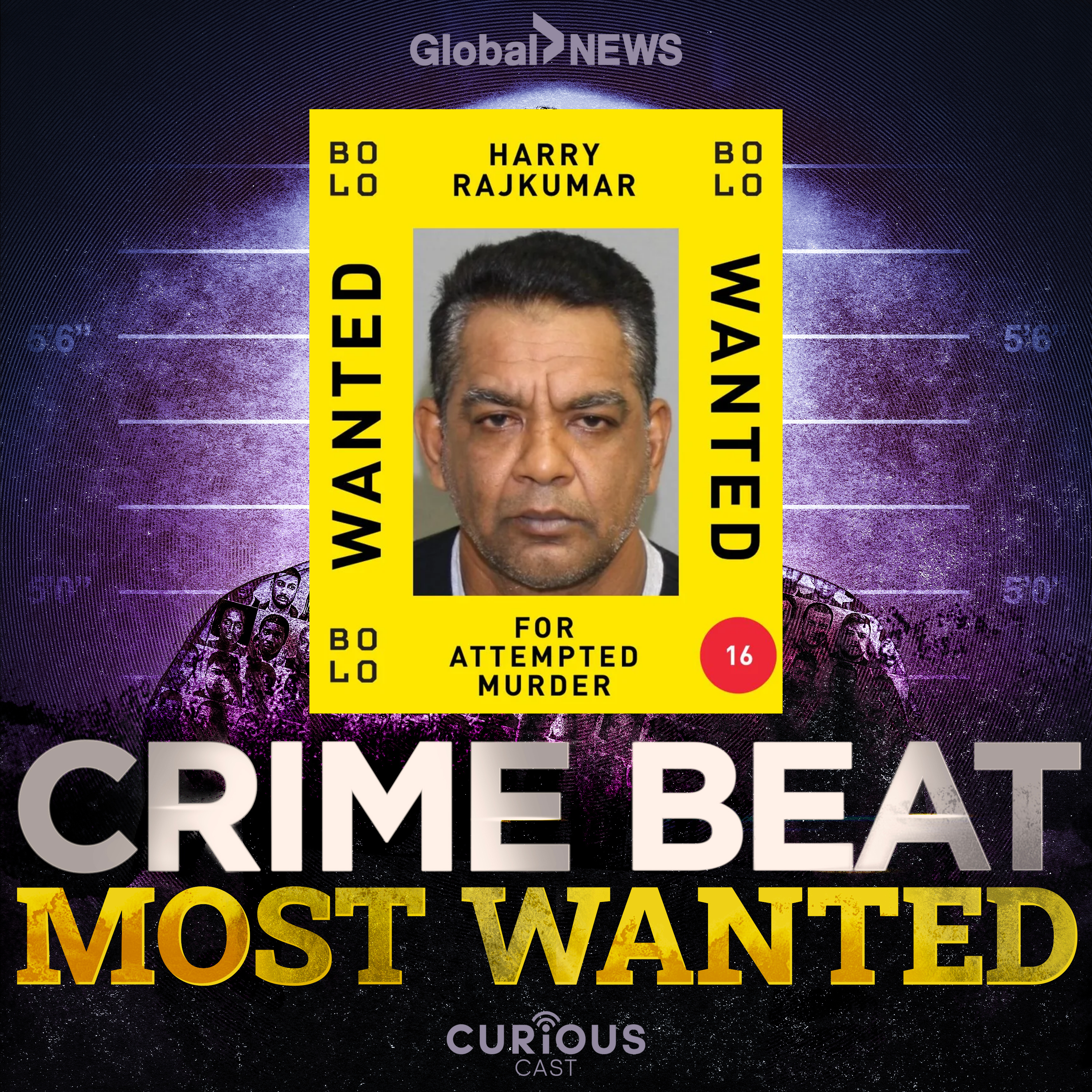 The Hunt for Harry Rajkumar | 6