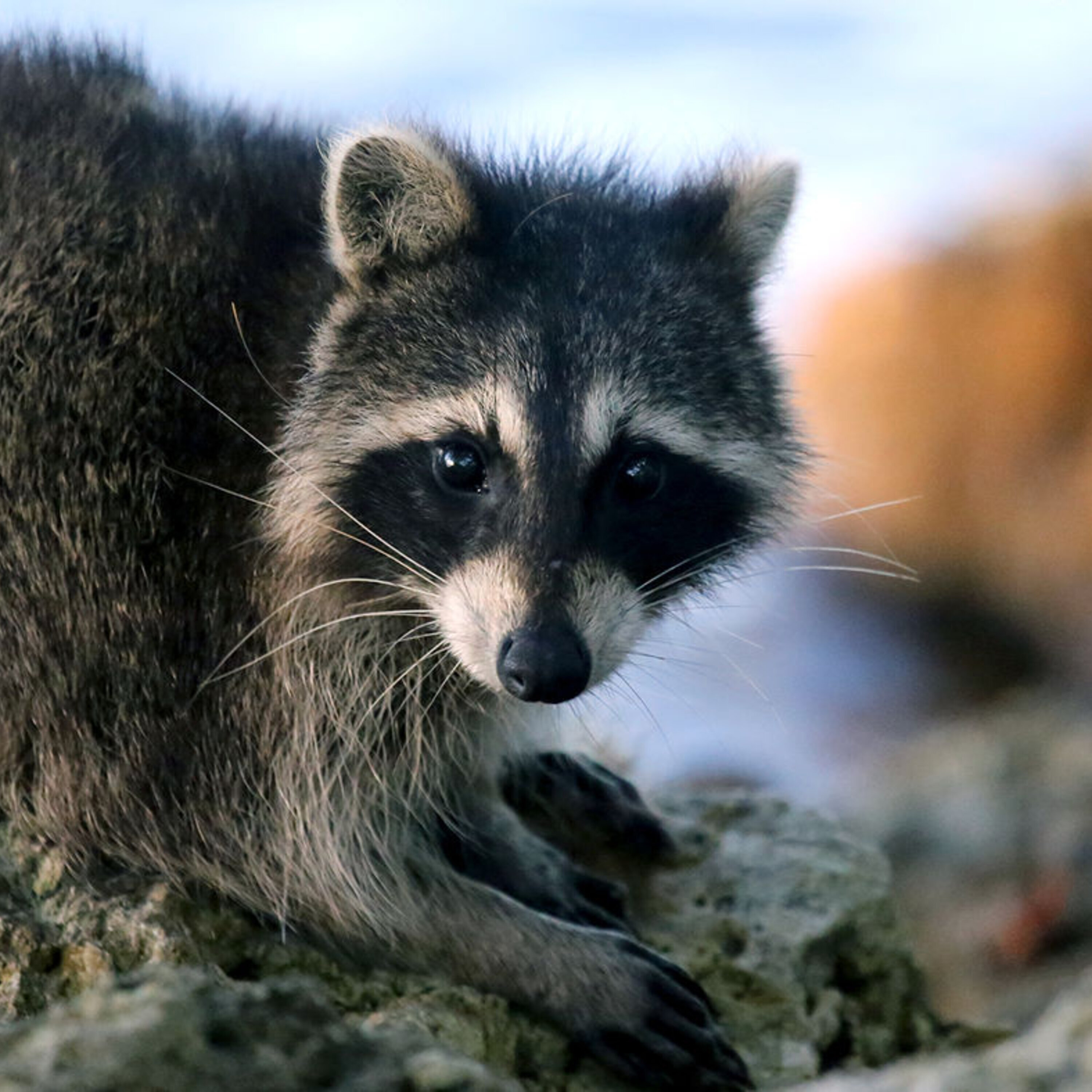 Science Magazine Podcast