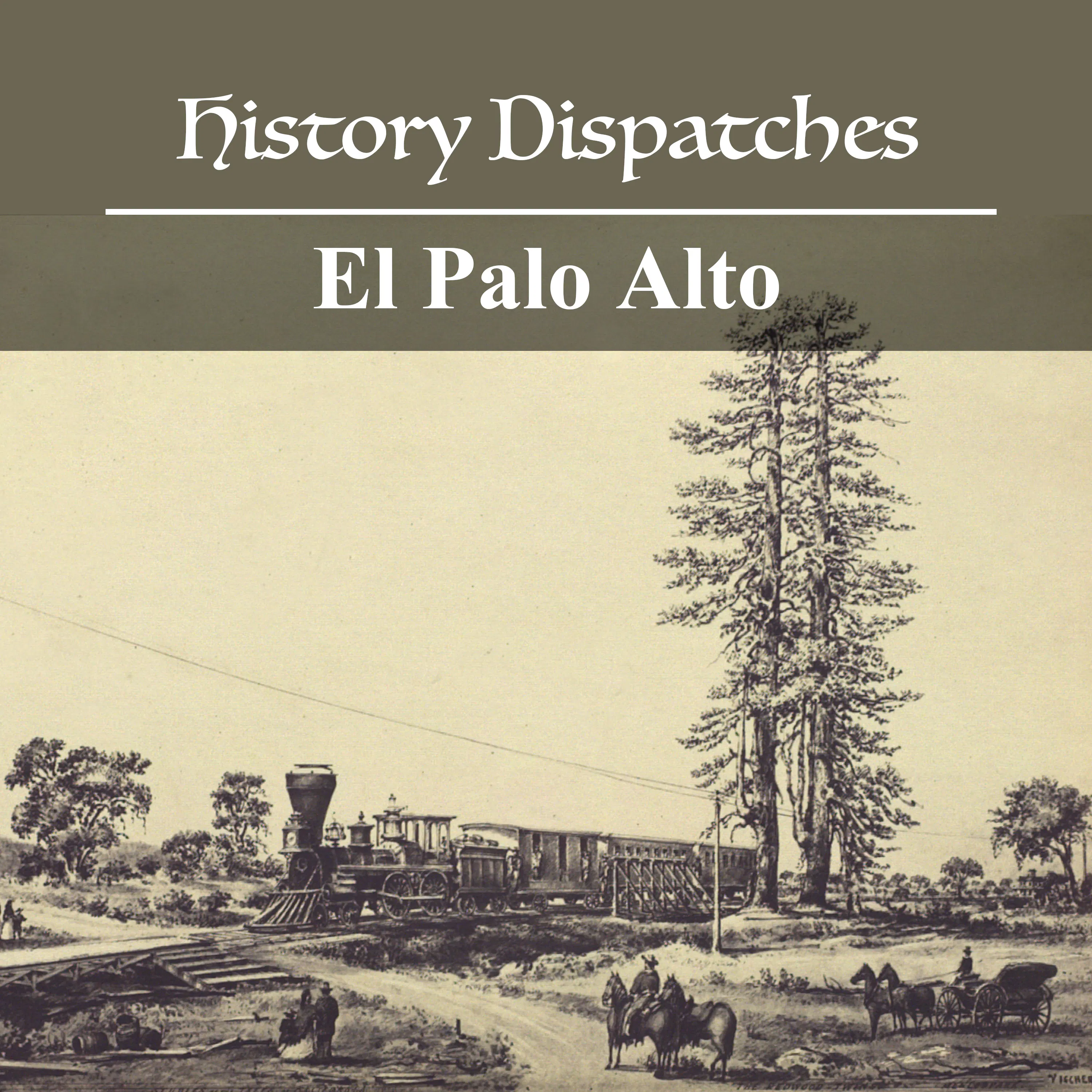 El Palo Alto episode artwork