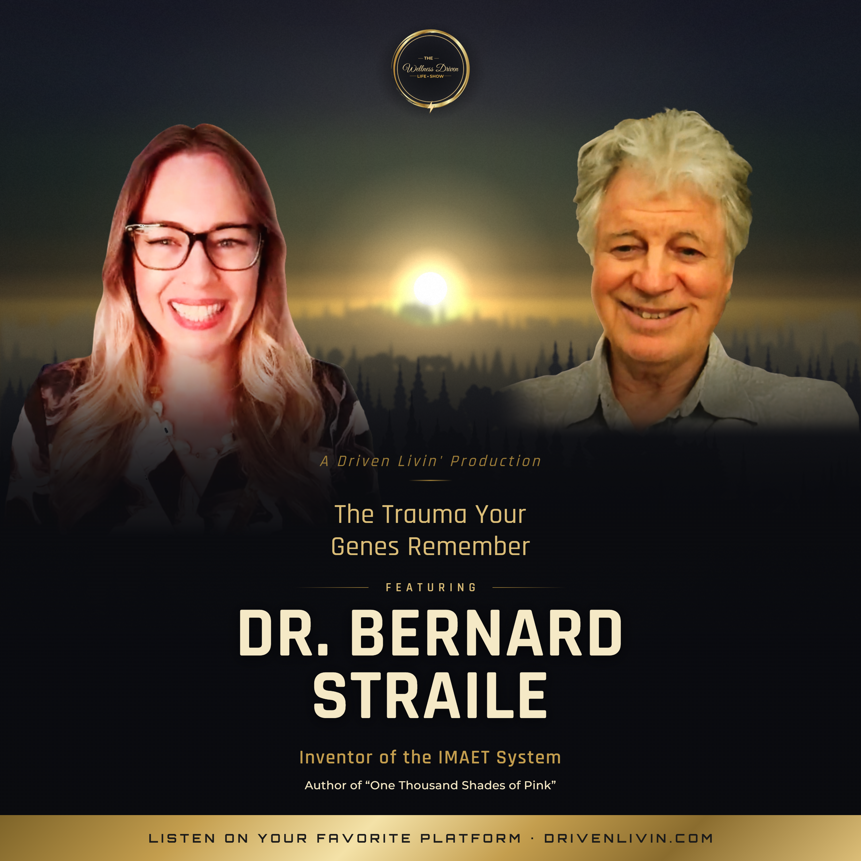 Generational Trauma & Your Genes: Dr. Bernard Straile on Healing at the Root episode artwork