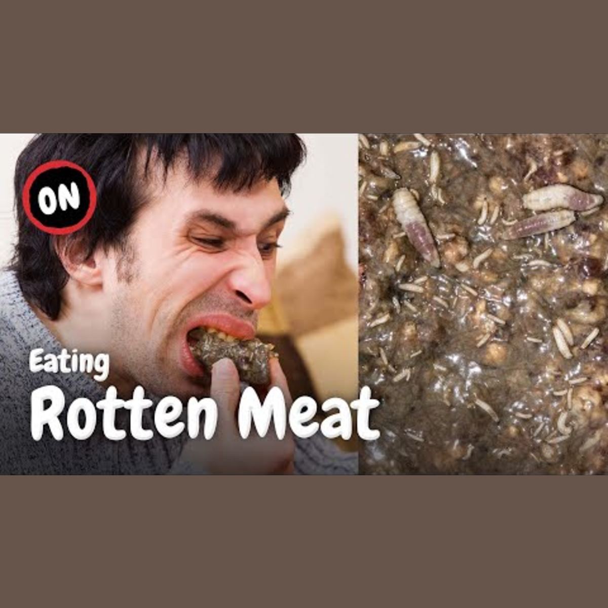 Exploring the Trend of Eating Rotten Meat episode artwork