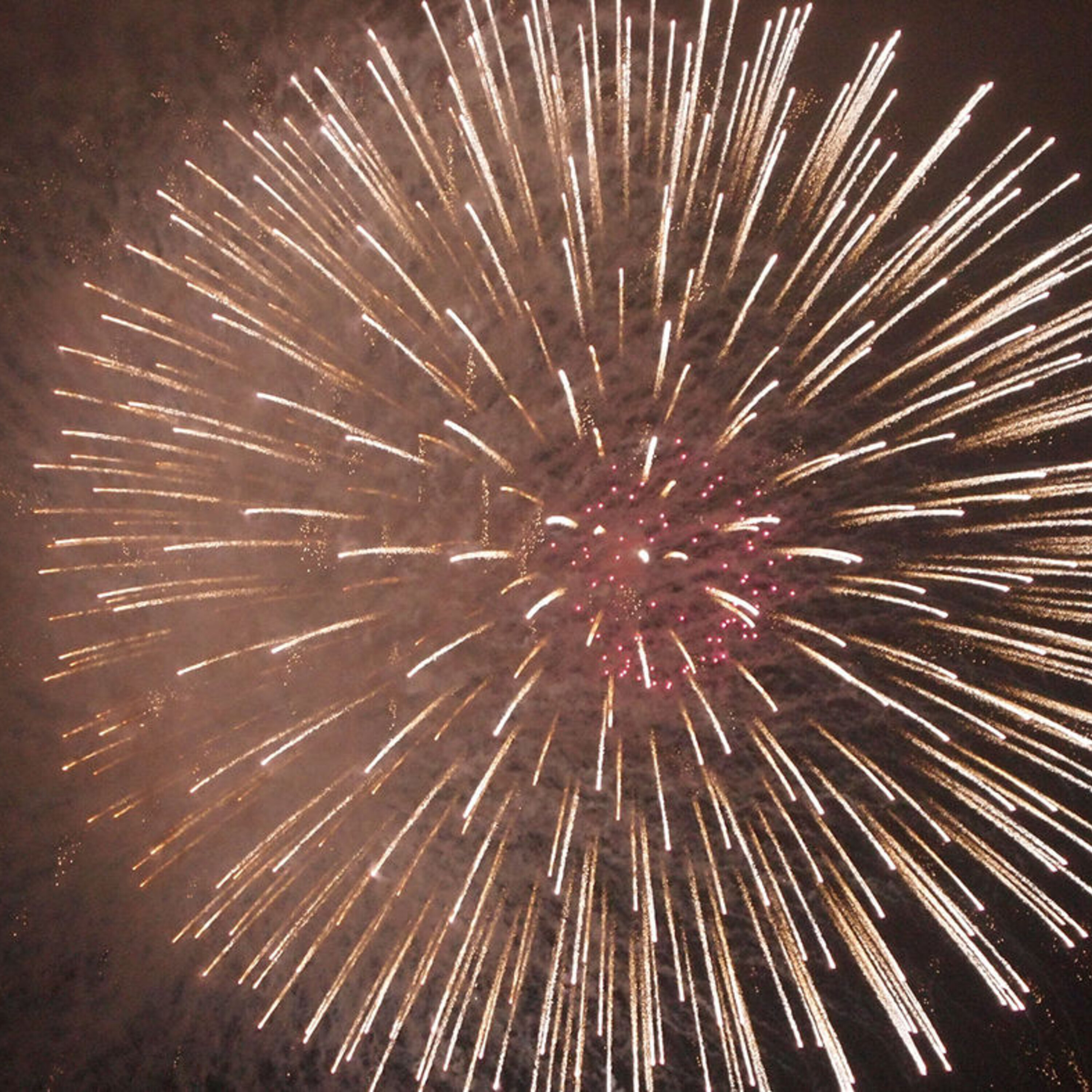 <i>Science</i>’s Breakthrough of the Year, our best online news, and science books for your shopping list