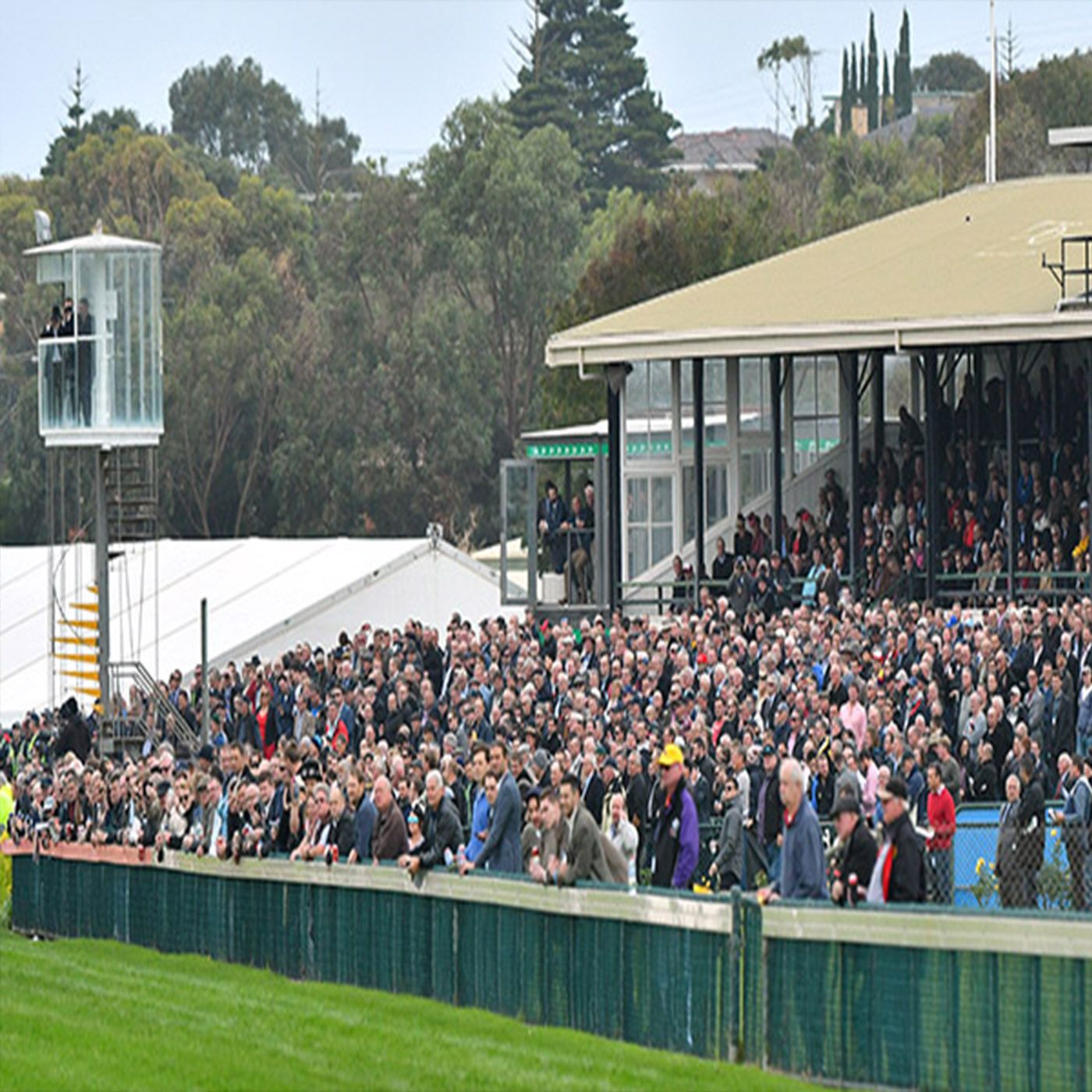 Tom O'Connor Warrnambool Racing Club chats to Andrew Kuuse 'Weekend Breakfast' episode artwork
