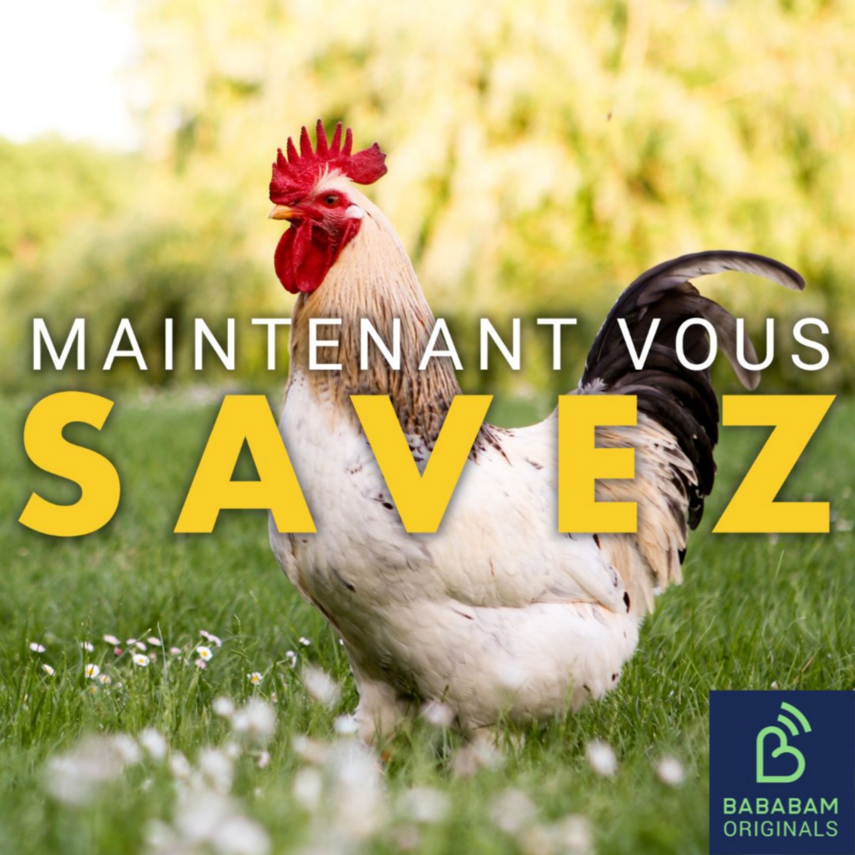 Qui de la poule ou de l'œuf est arrivé en premier ?