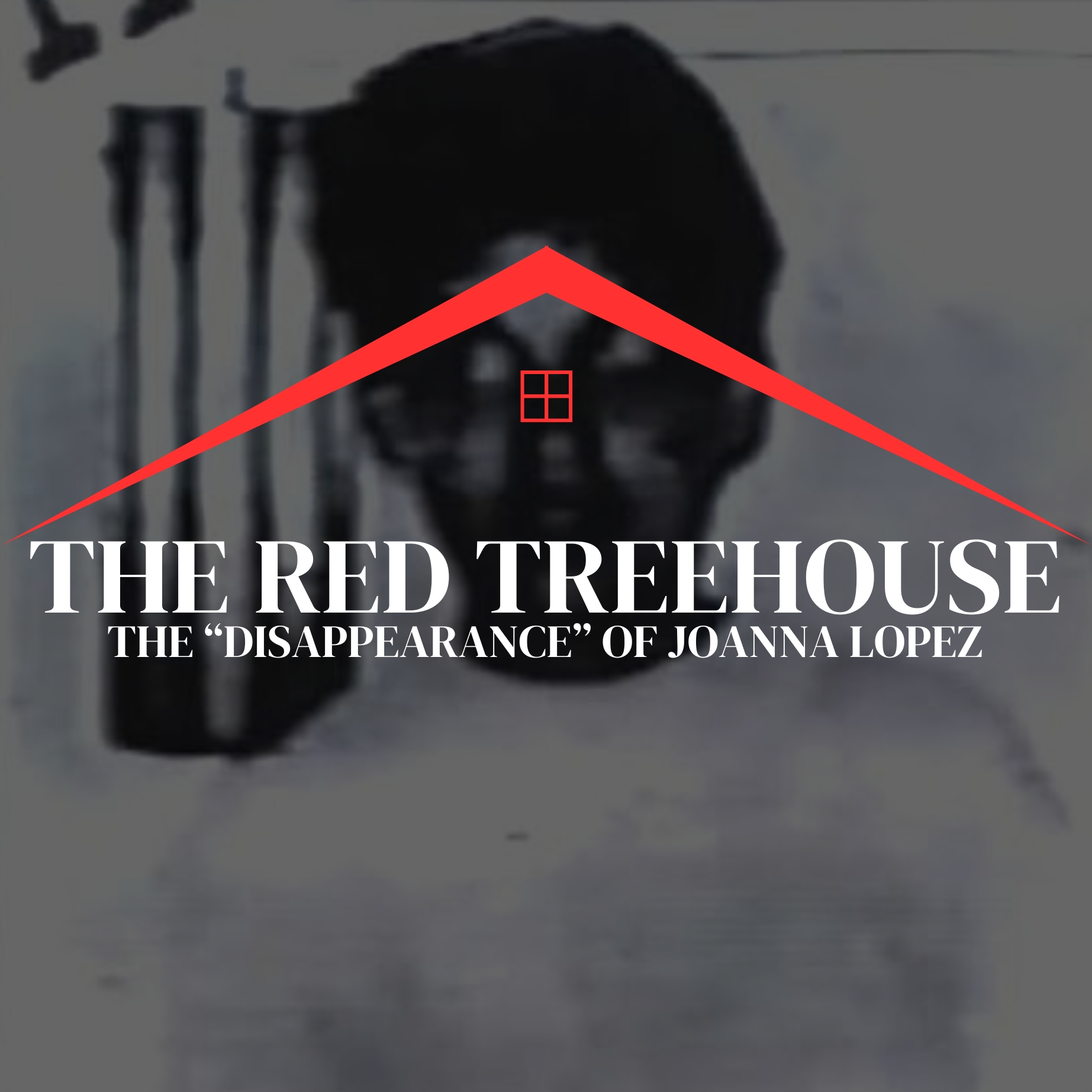 282: The Joanna Lopez Mystery: The Real-Life Disappearance that May Have Been Fiction episode artwork