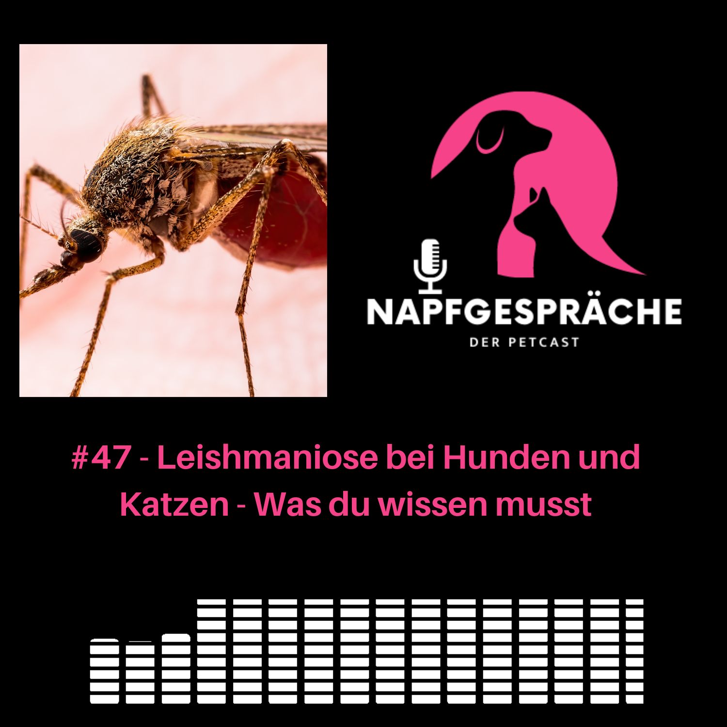 #47 - Leishmaniose bei Hunden und Katzen - Was du wissen musst