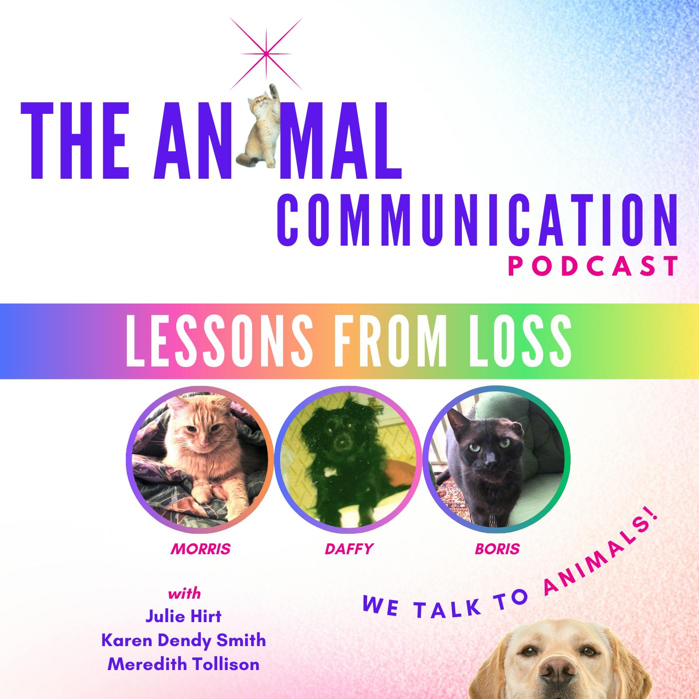 Lessons from Loss Lessons from Loss