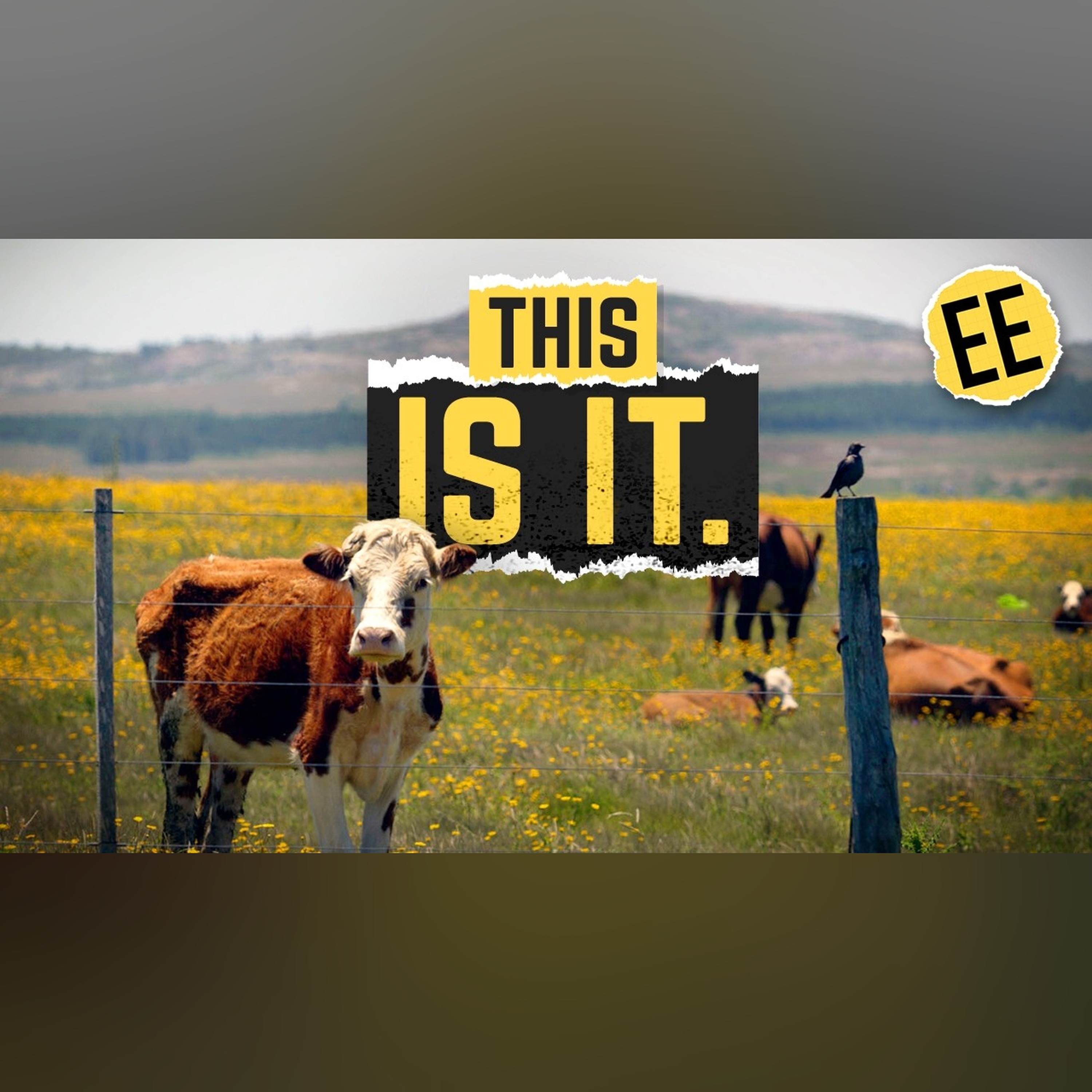 Uruguay Has No Resources, But They're Rich episode artwork