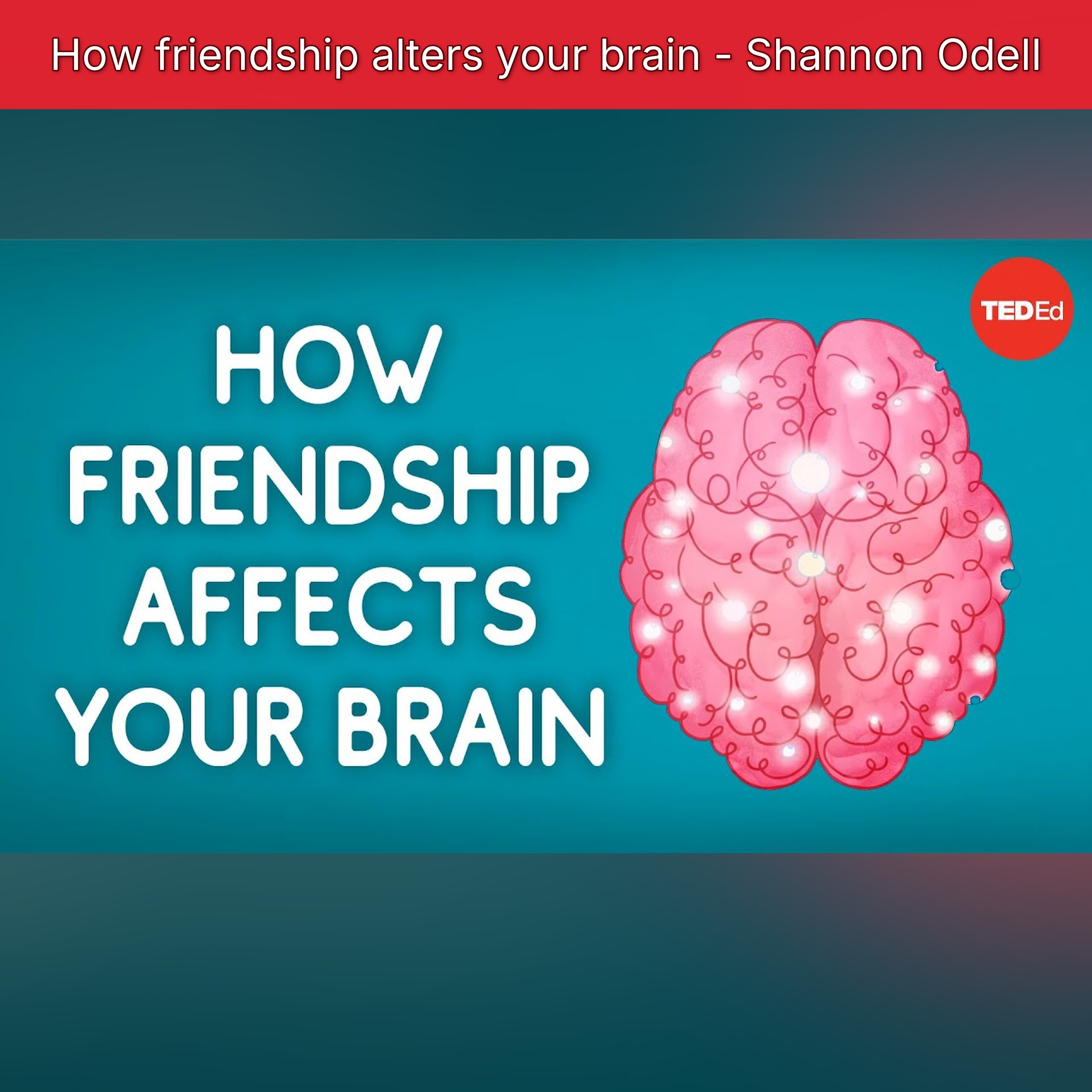 How friendship alters your brain - Shannon Odell episode artwork