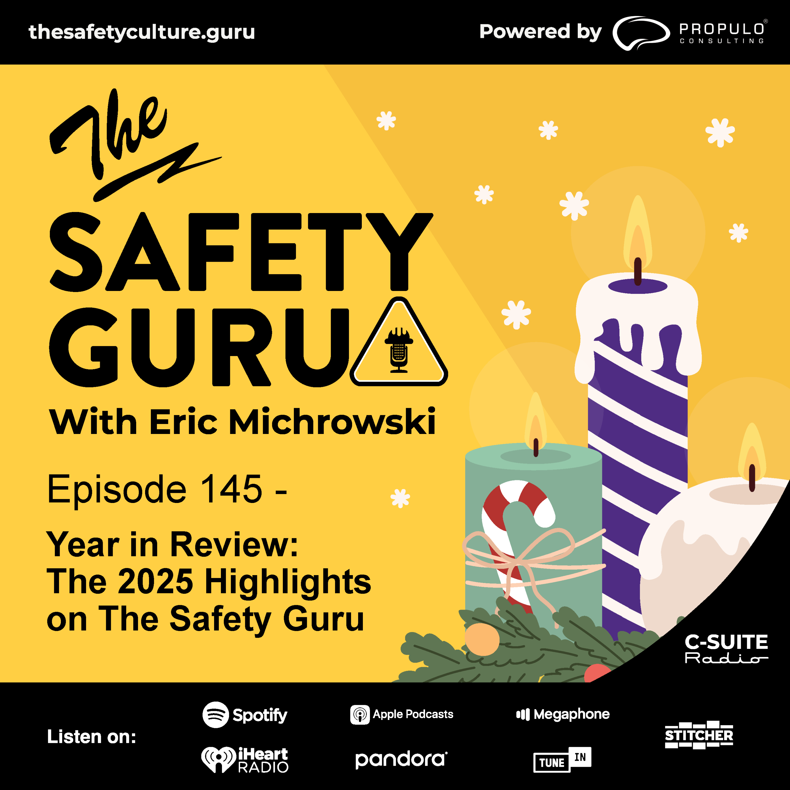 The Safety Guru