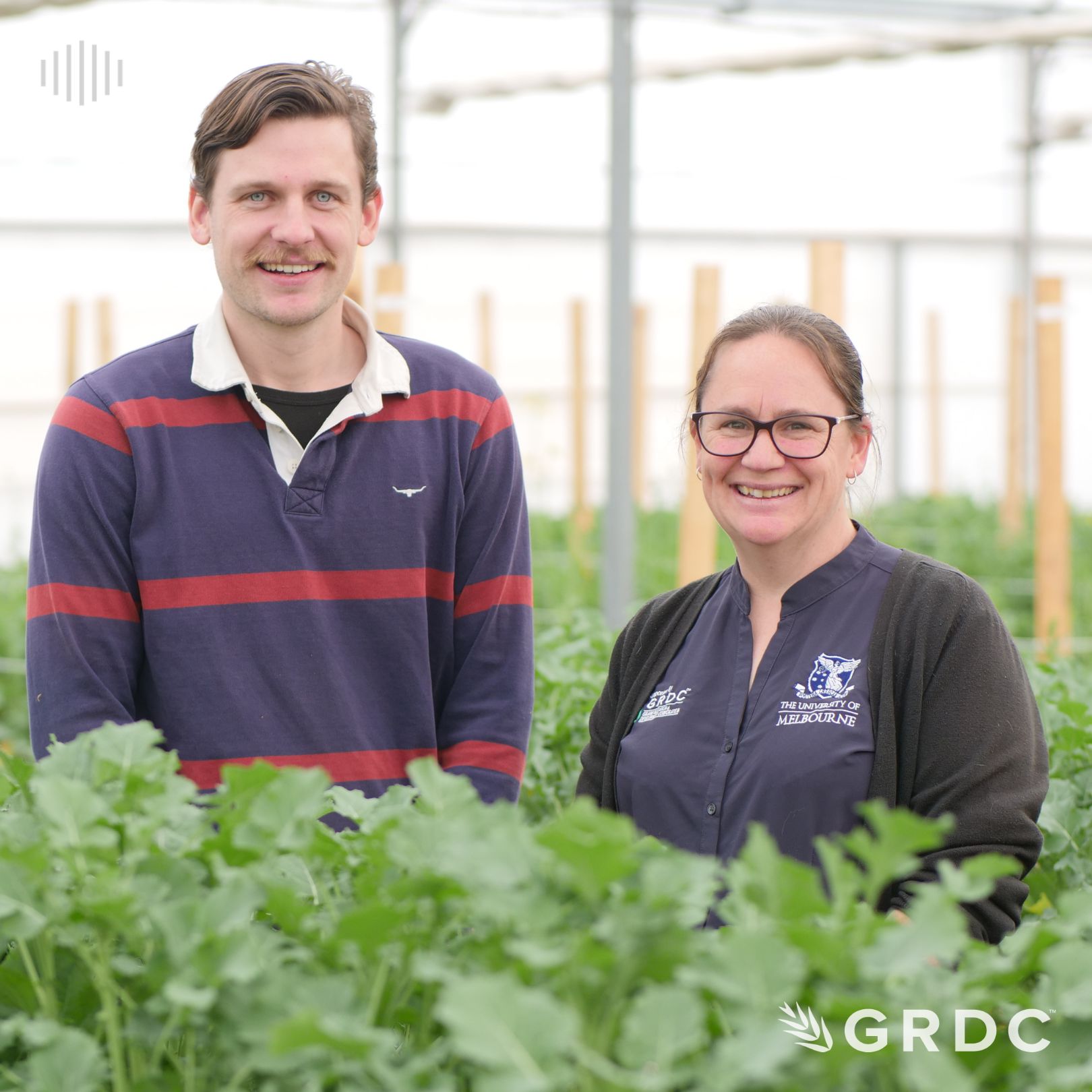 Tools for tackling blackleg of canola: AFREN - fungicide resistance management strategies for blackleg of canola.