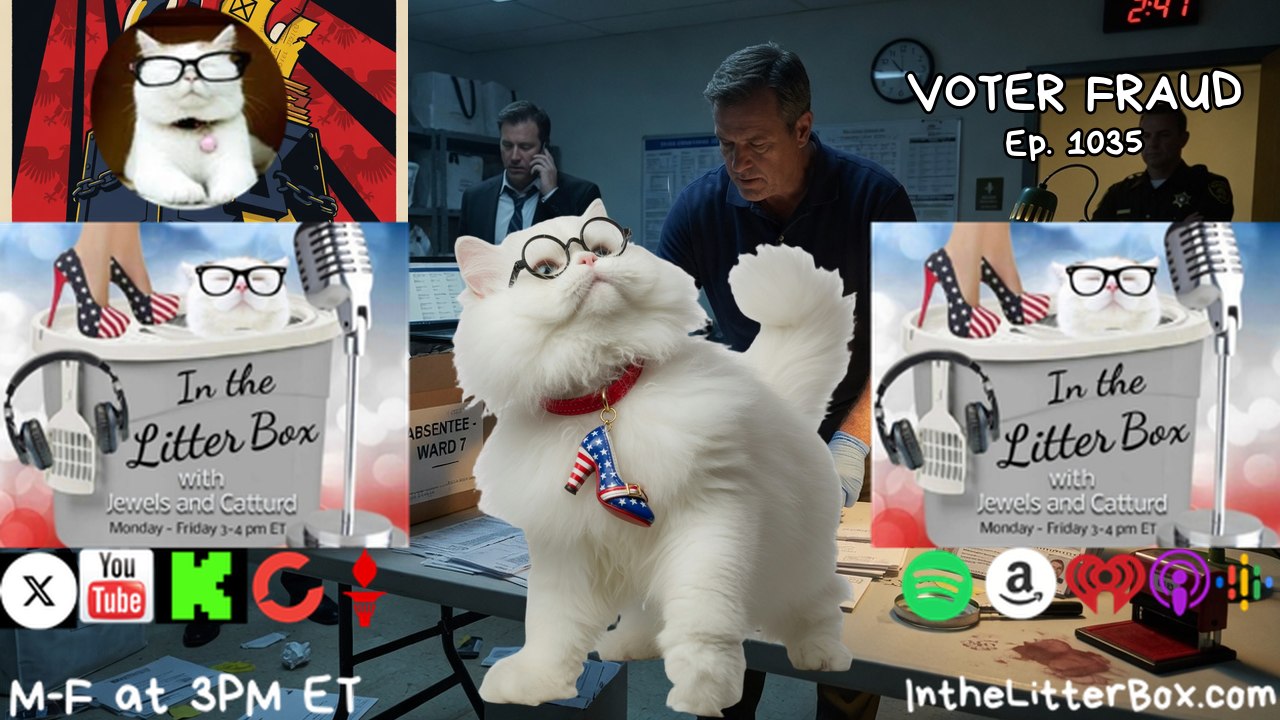 Voter Fraud | In the Litter Box w/ Jewels & Catturd – Ep. 1035– 6/8/2026