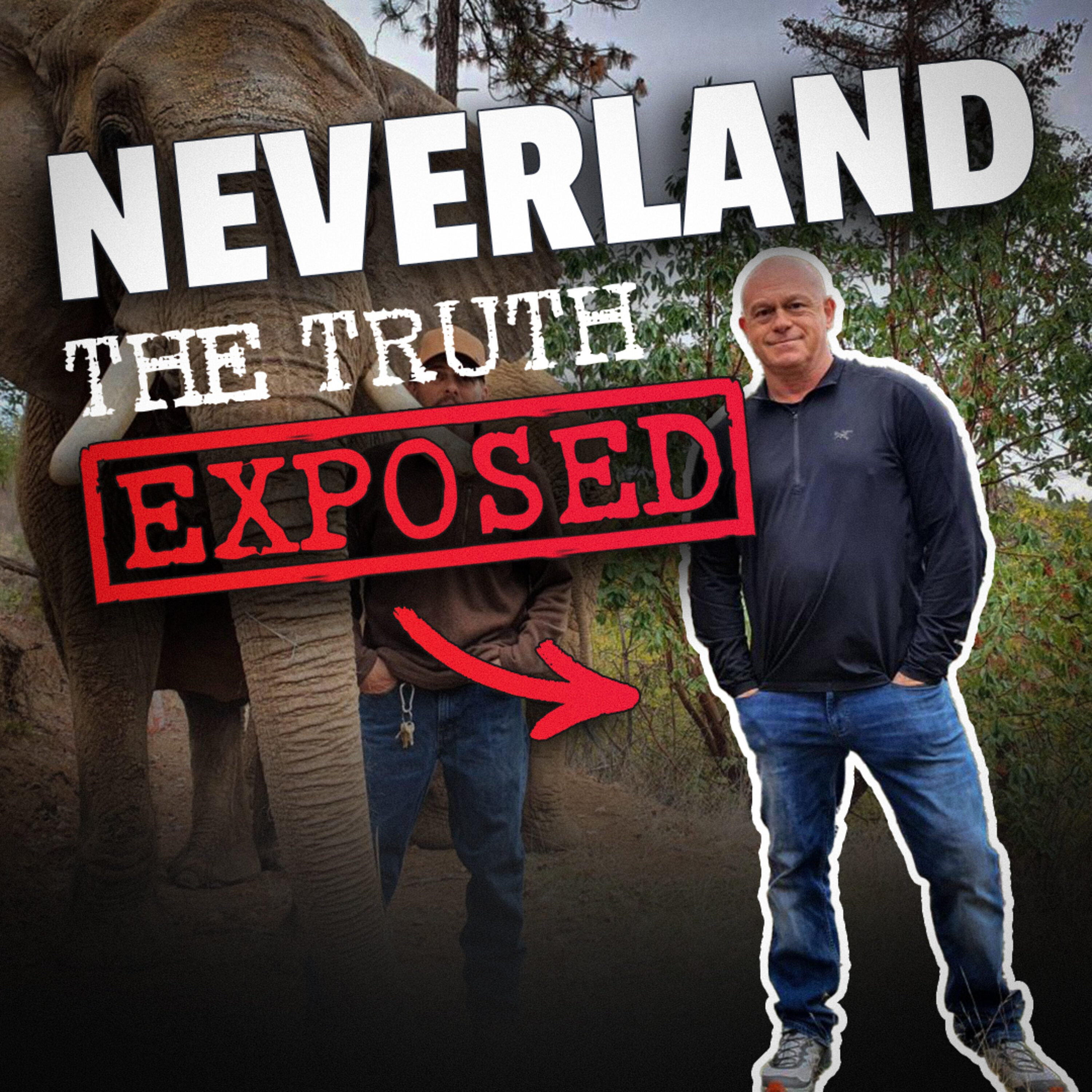 The Matt Fiddes Show