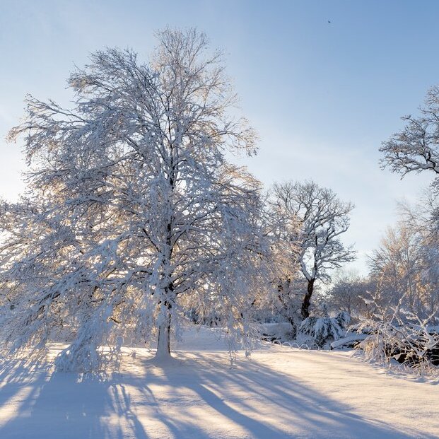 Garden Books We’re Obsessed With This Year