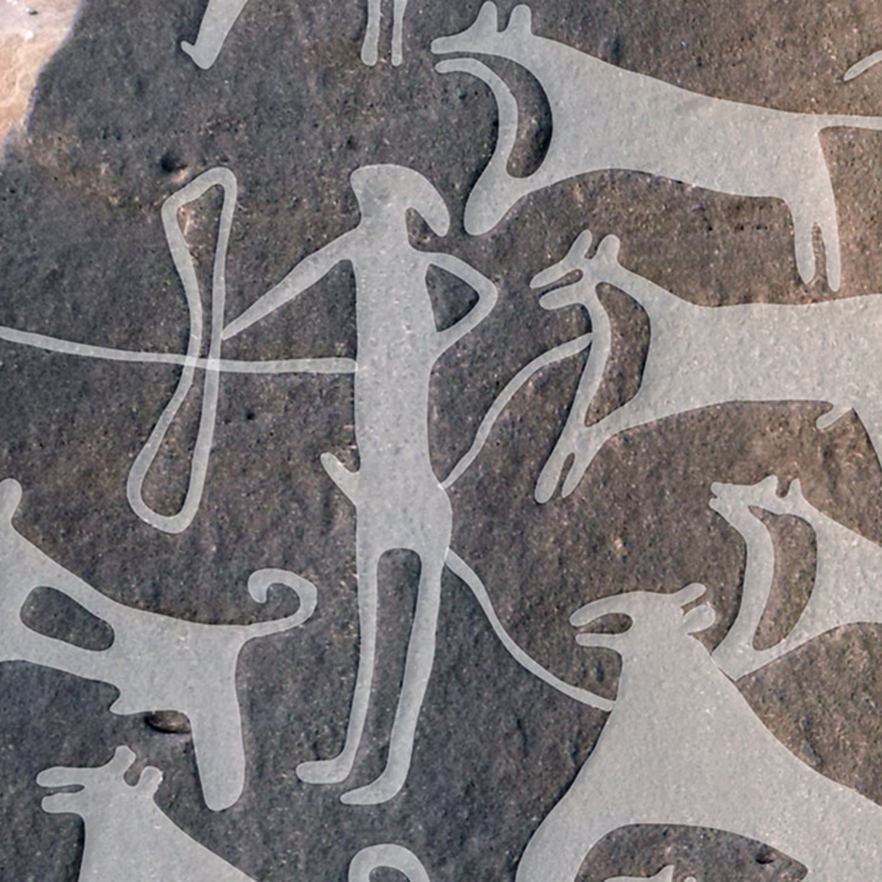 The world’s first dog pictures, and looking at the planet from a quantum perspective