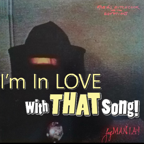 Robyn Hitchcock And The Egyptians - "My Wife And My Dead Wife"